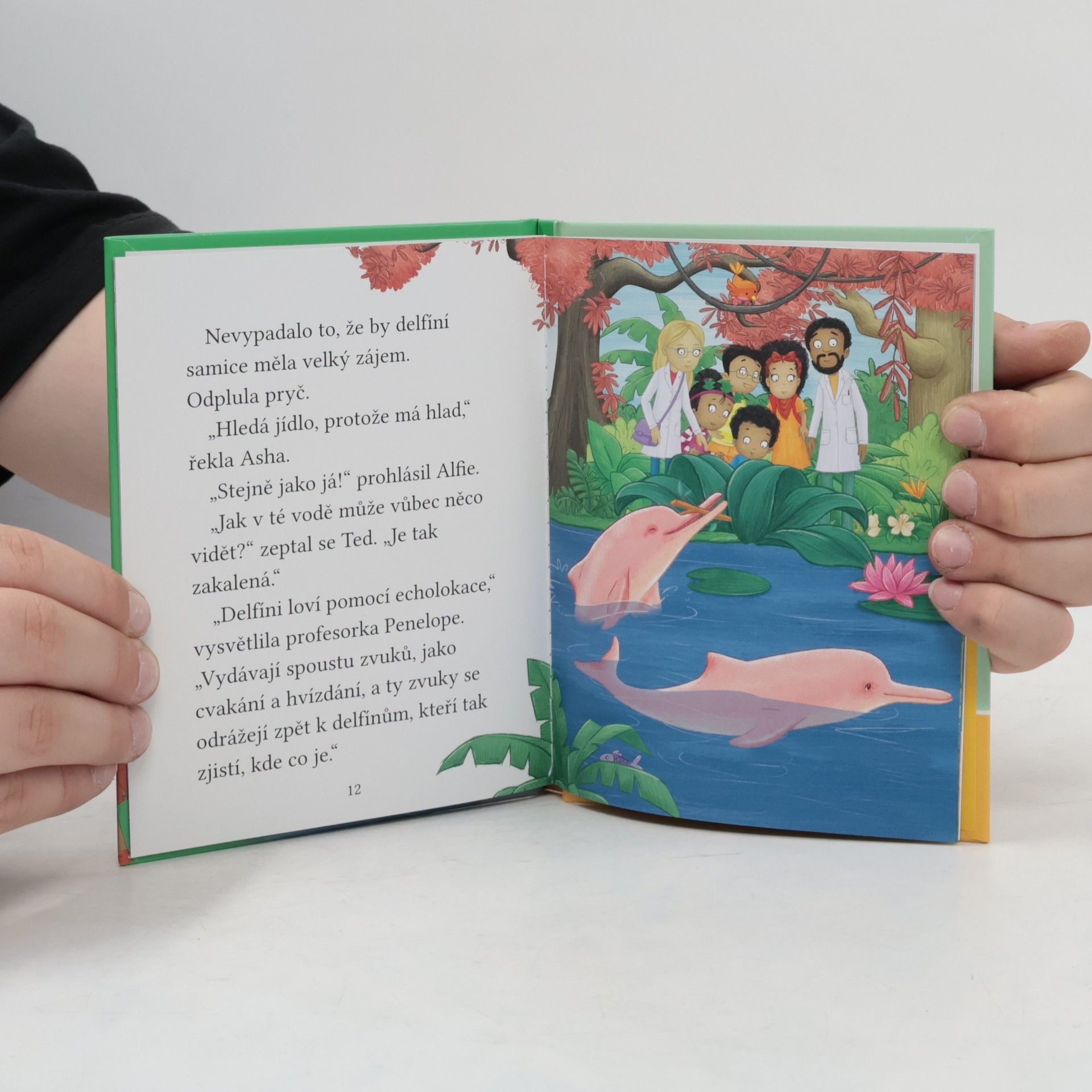Cressida Cowell Dvojčata pomáhají růžovému delfínovi