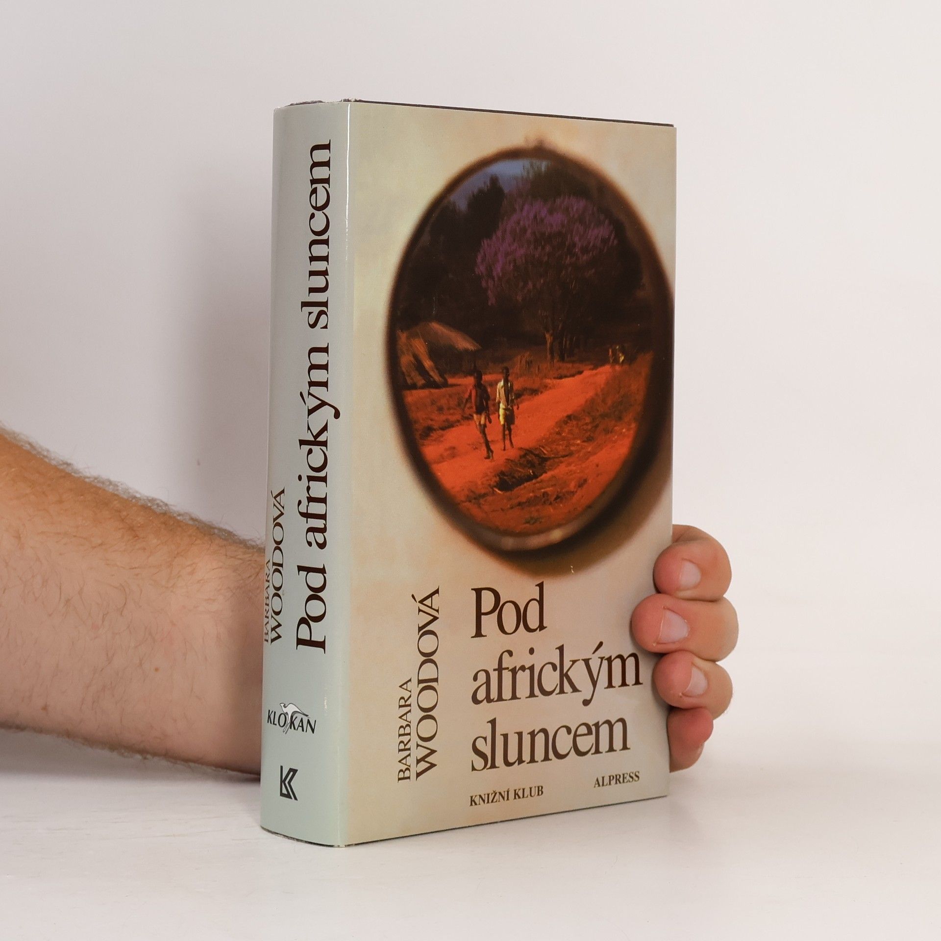 Barbara Wood Pod africkým sluncem