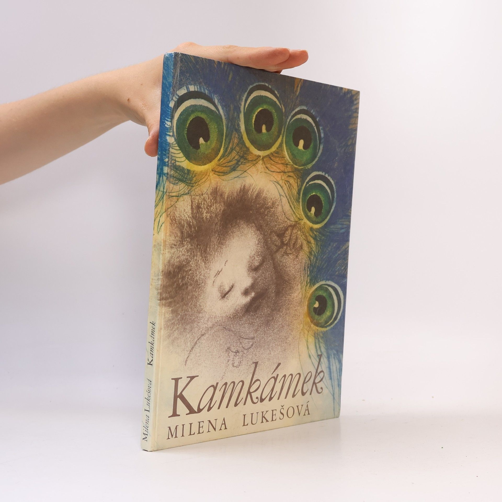 Jitka Walterová Kamkámek