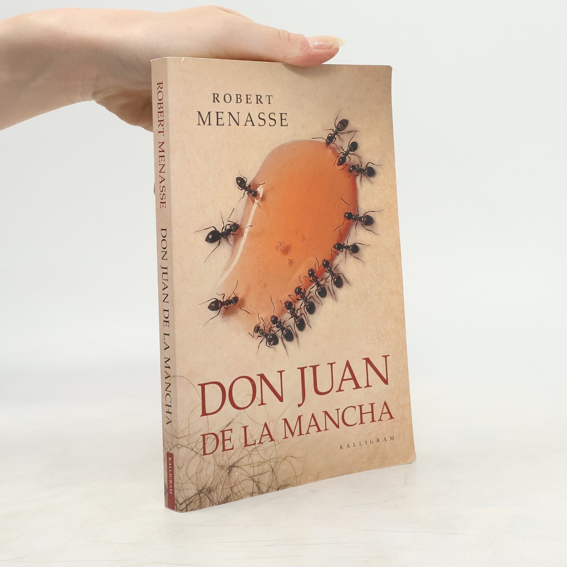 Robert Menasse Don Juan de la Mancha