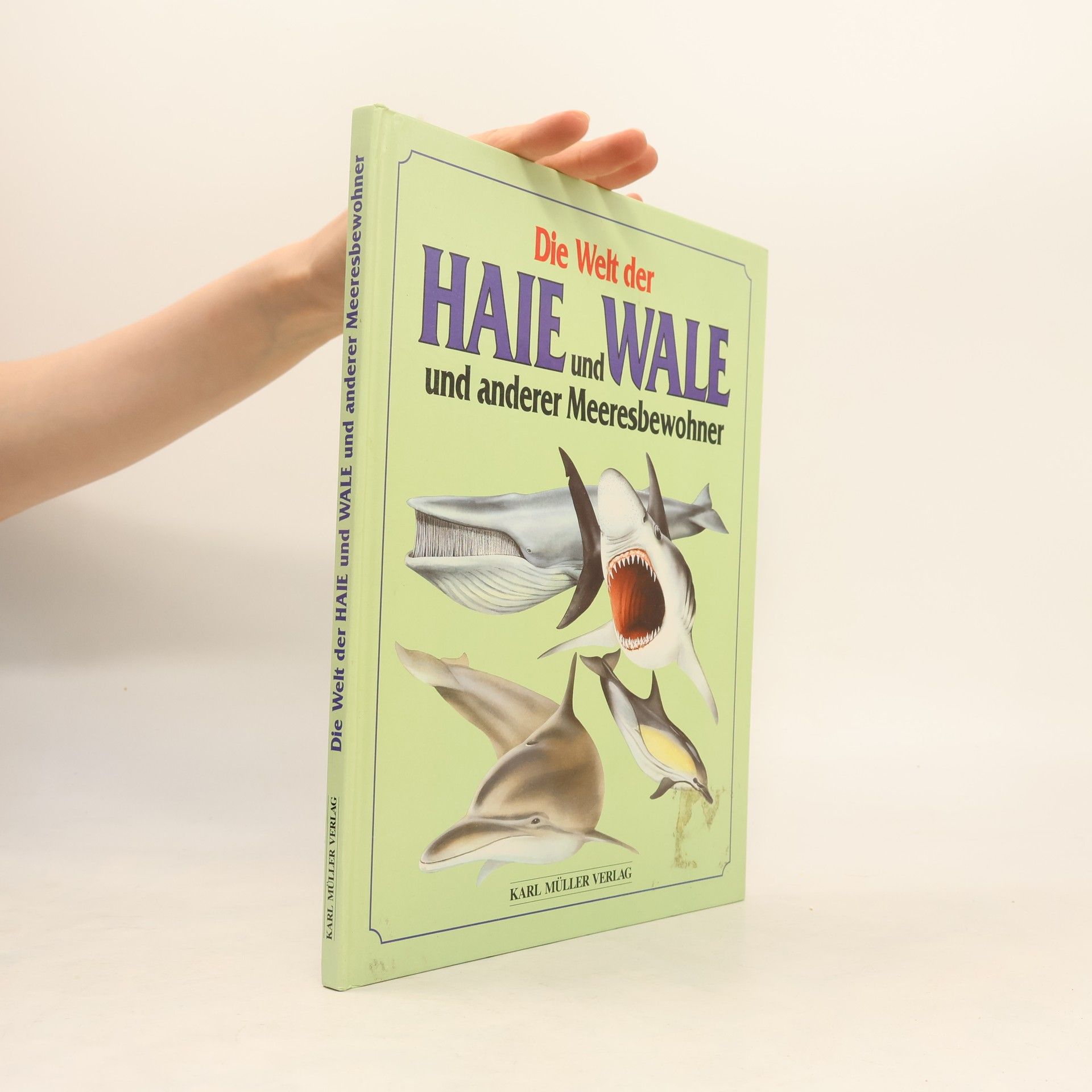Rupert Matthews Die Welt der Haie und Wale und anderer Meeresbewohner