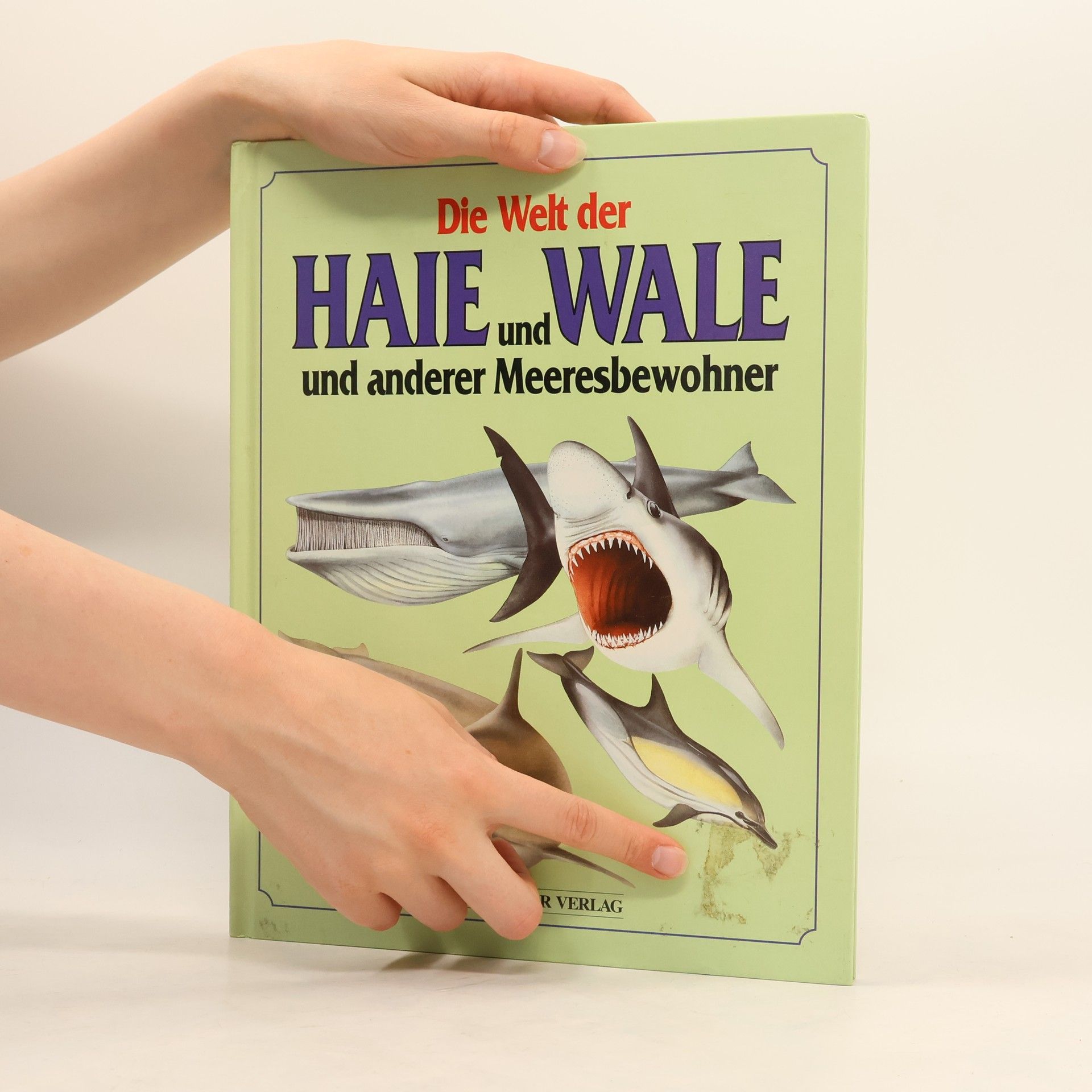 Rupert Matthews Die Welt der Haie und Wale und anderer Meeresbewohner