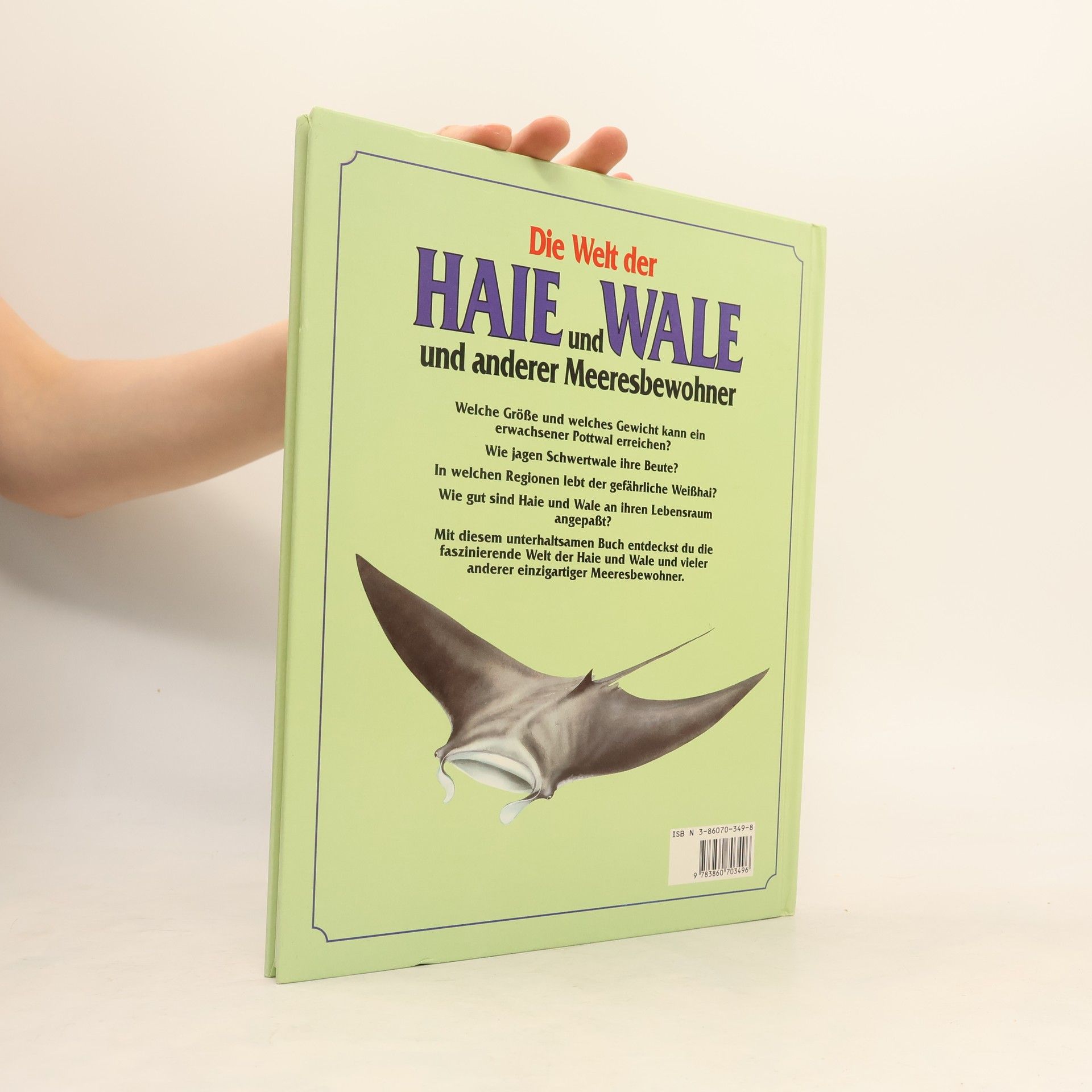 Rupert Matthews Die Welt der Haie und Wale und anderer Meeresbewohner