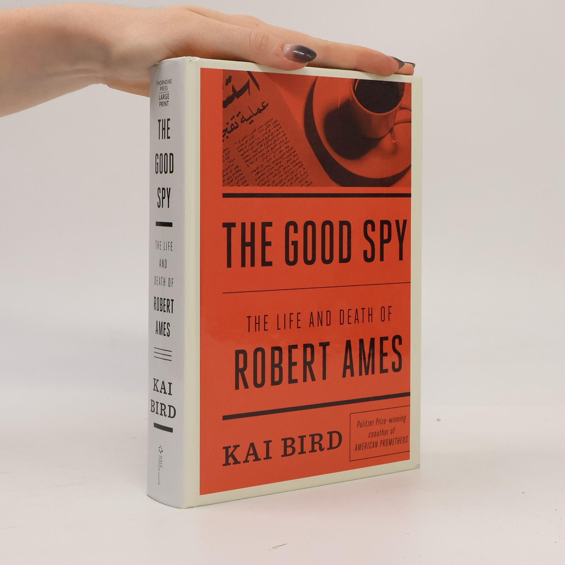 Kai Bird Thorndike Press Large Print: The Good Spy