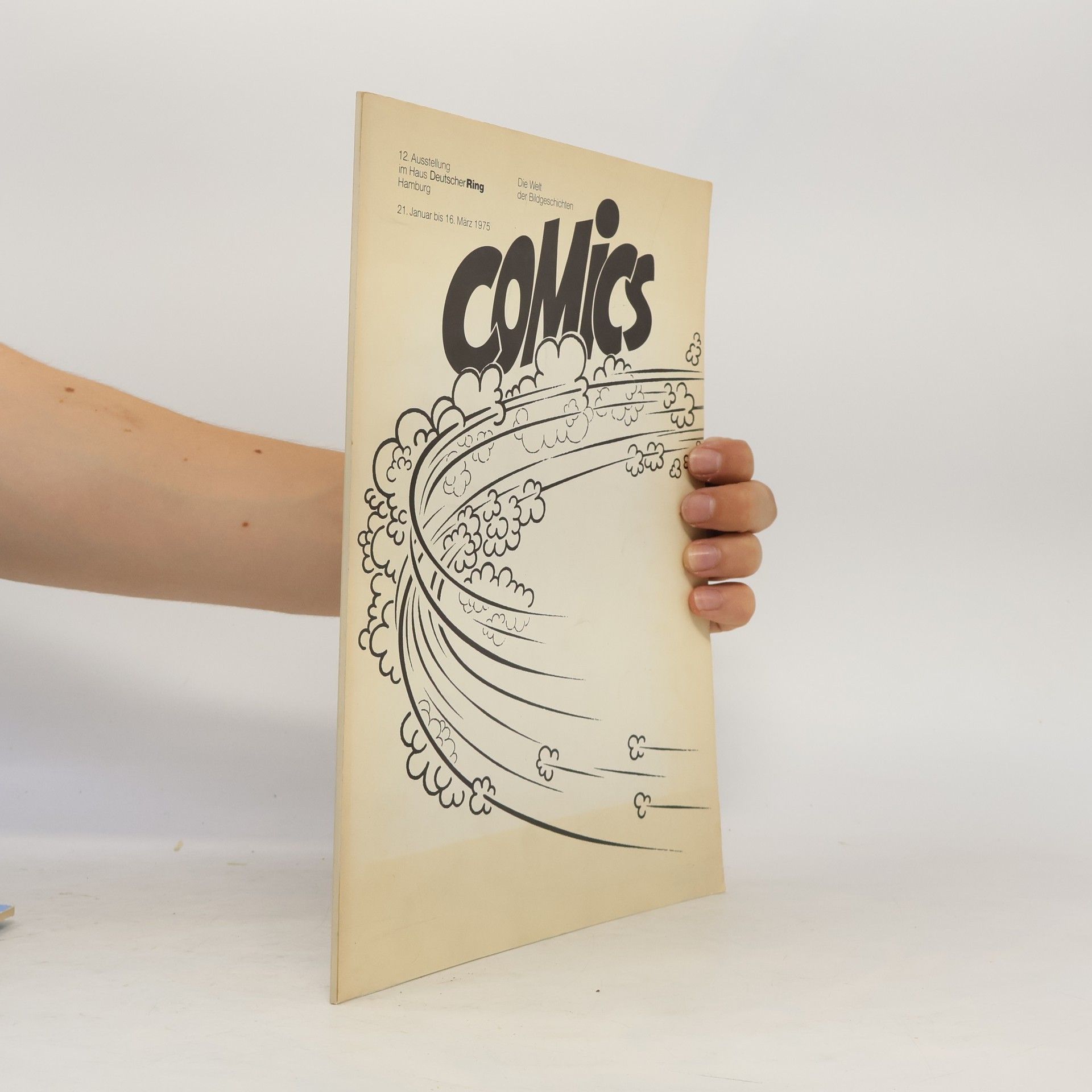 Collectif d'auteurs Comics. Die Welt der Bildeschichten