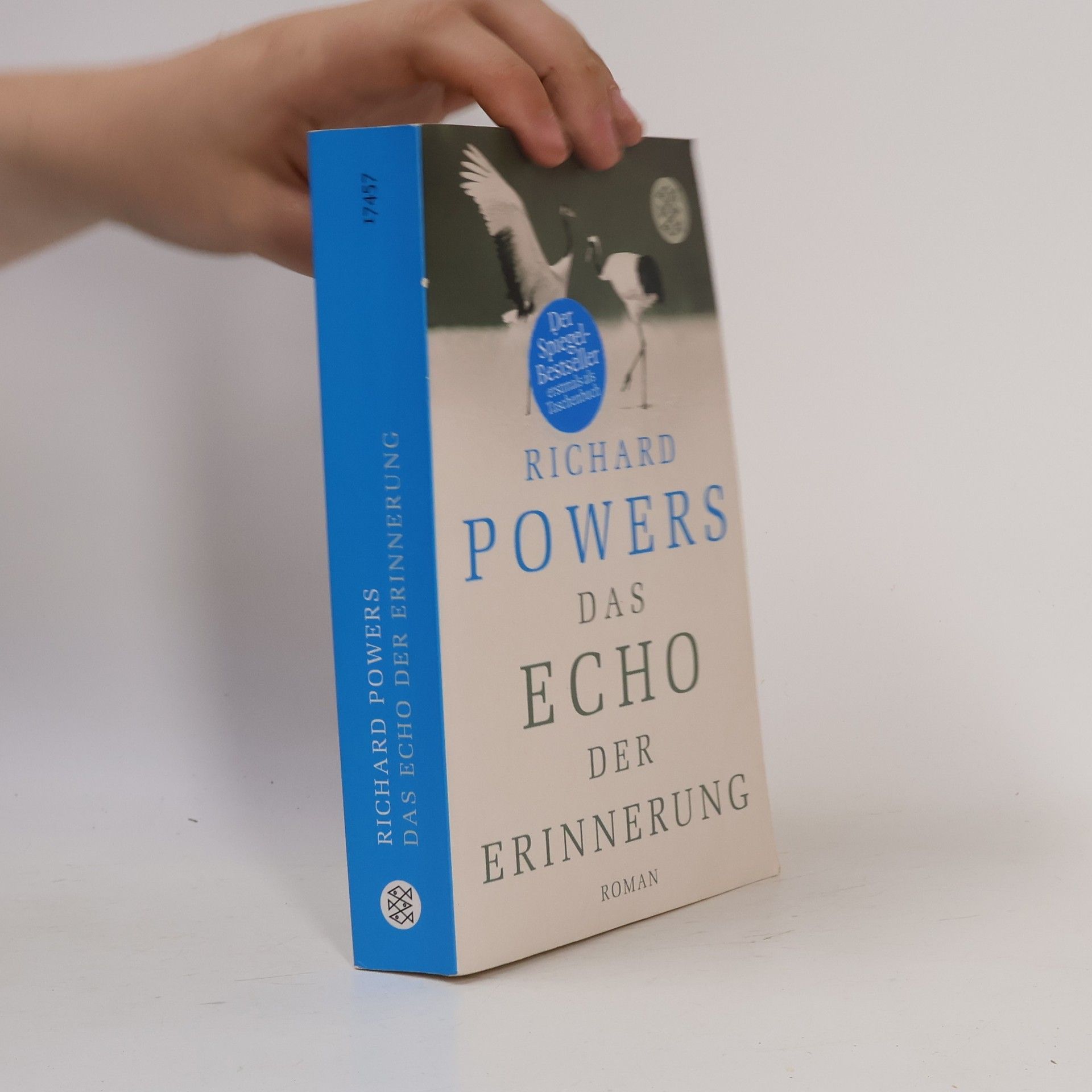 Richard Powers Das Echo der Erinnerung