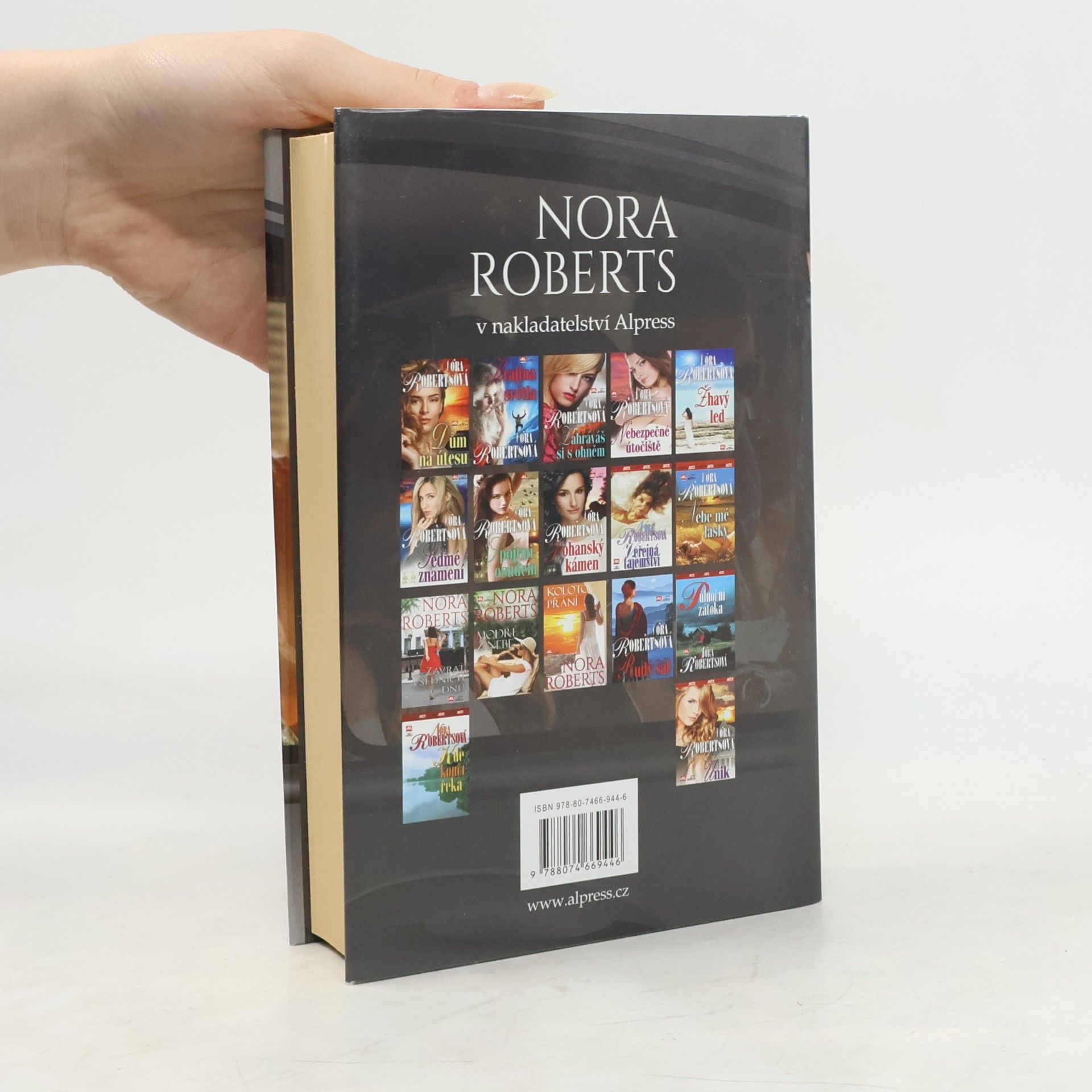 Nora Roberts Kdo chce víc