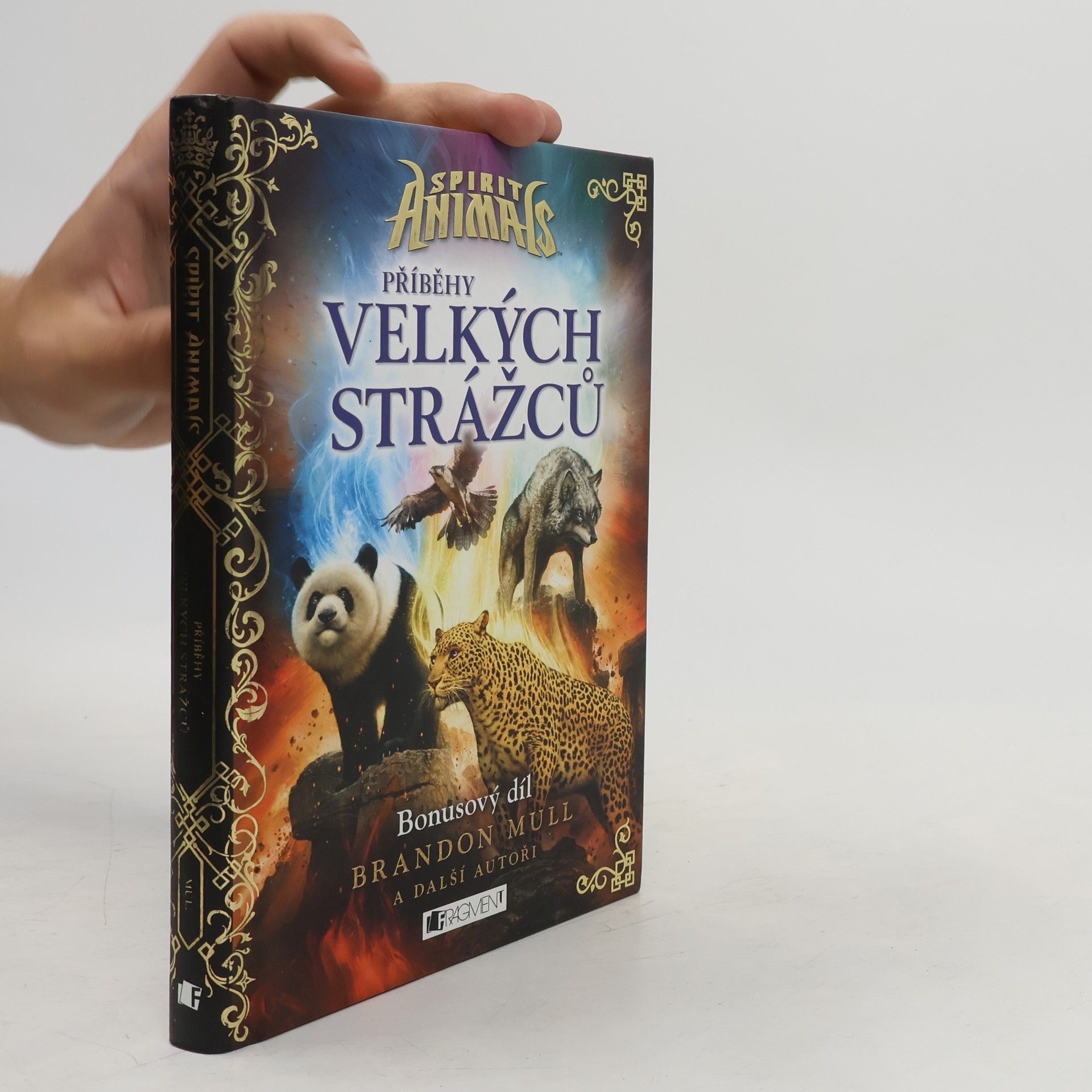 Emily Seife Příběhy Velkých strážců