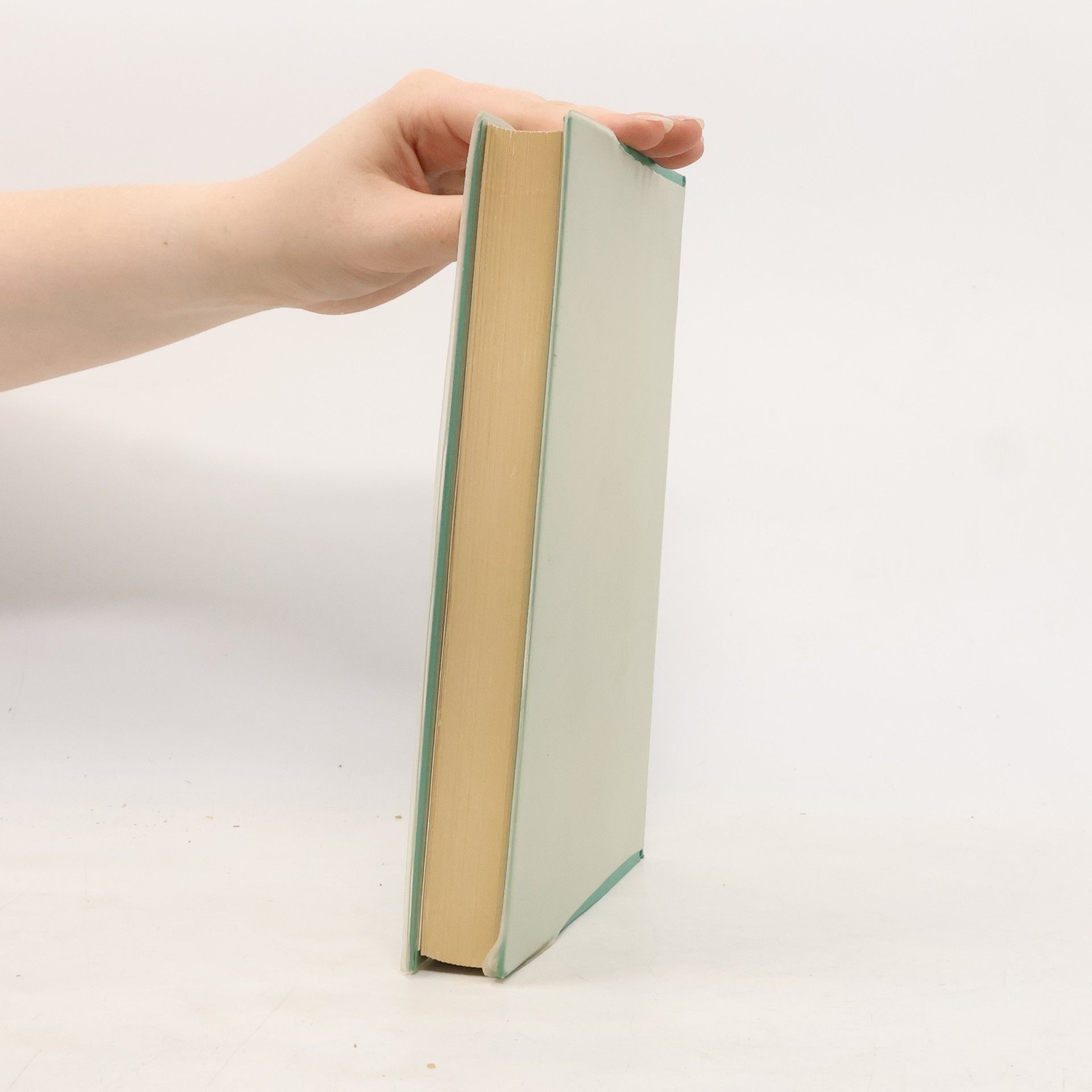 Autorenkollektiv Österreichisches Wörterbuch