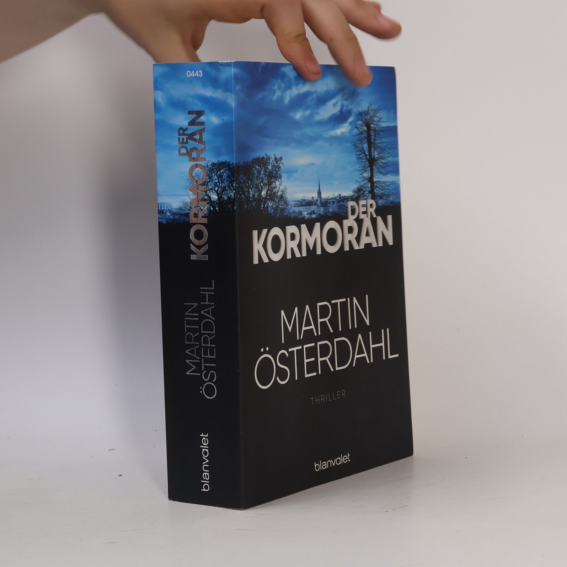 Martin Österdahl Der Kormoran
