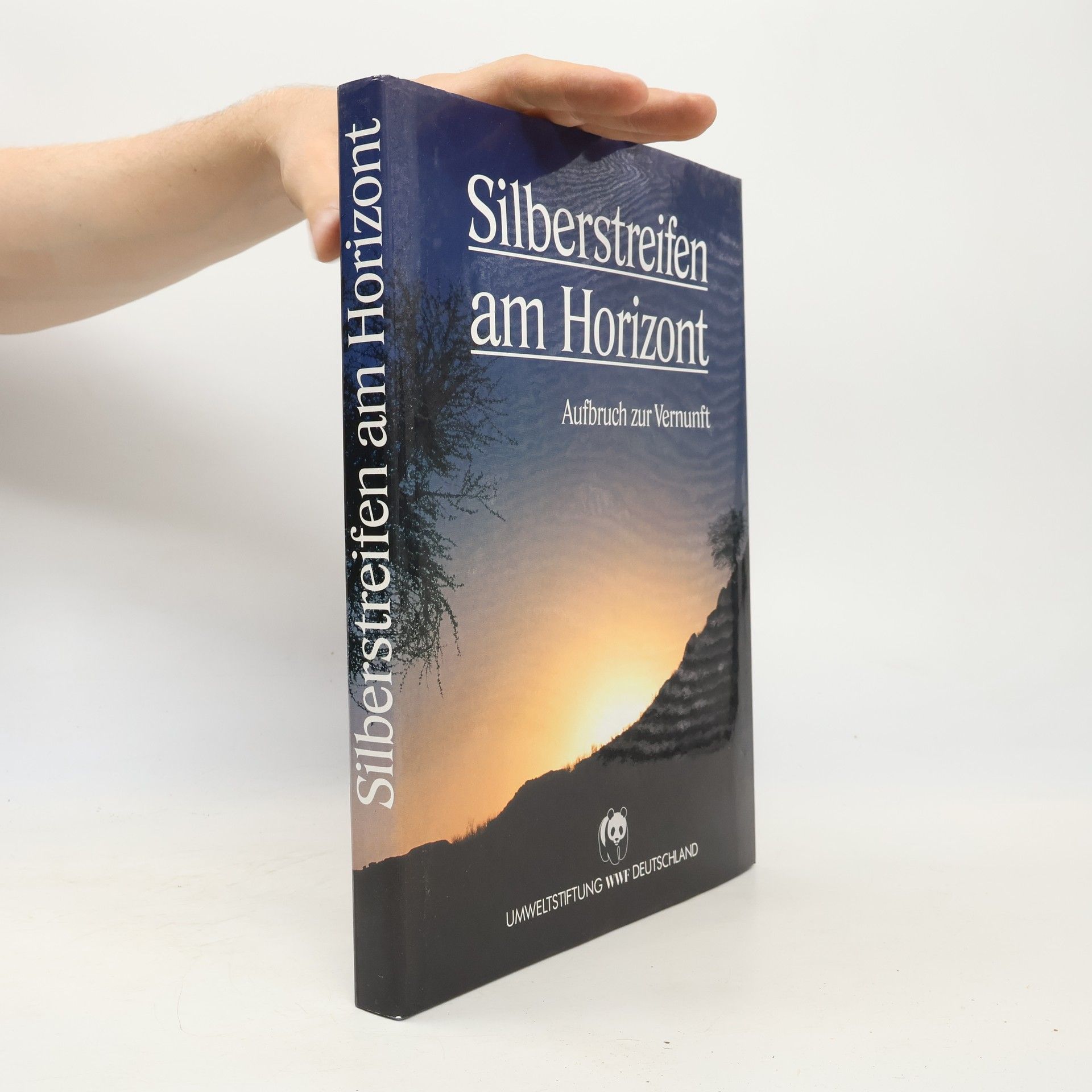 Autorenkollektiv Silberstreifen am Horizont