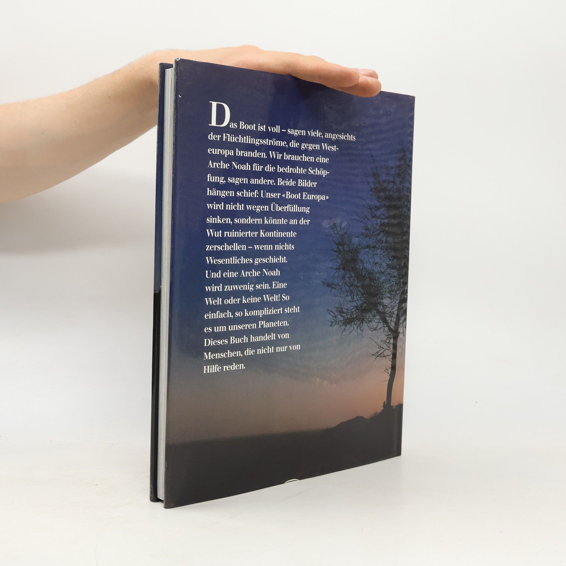 Collectif d'auteurs Silberstreifen am Horizont
