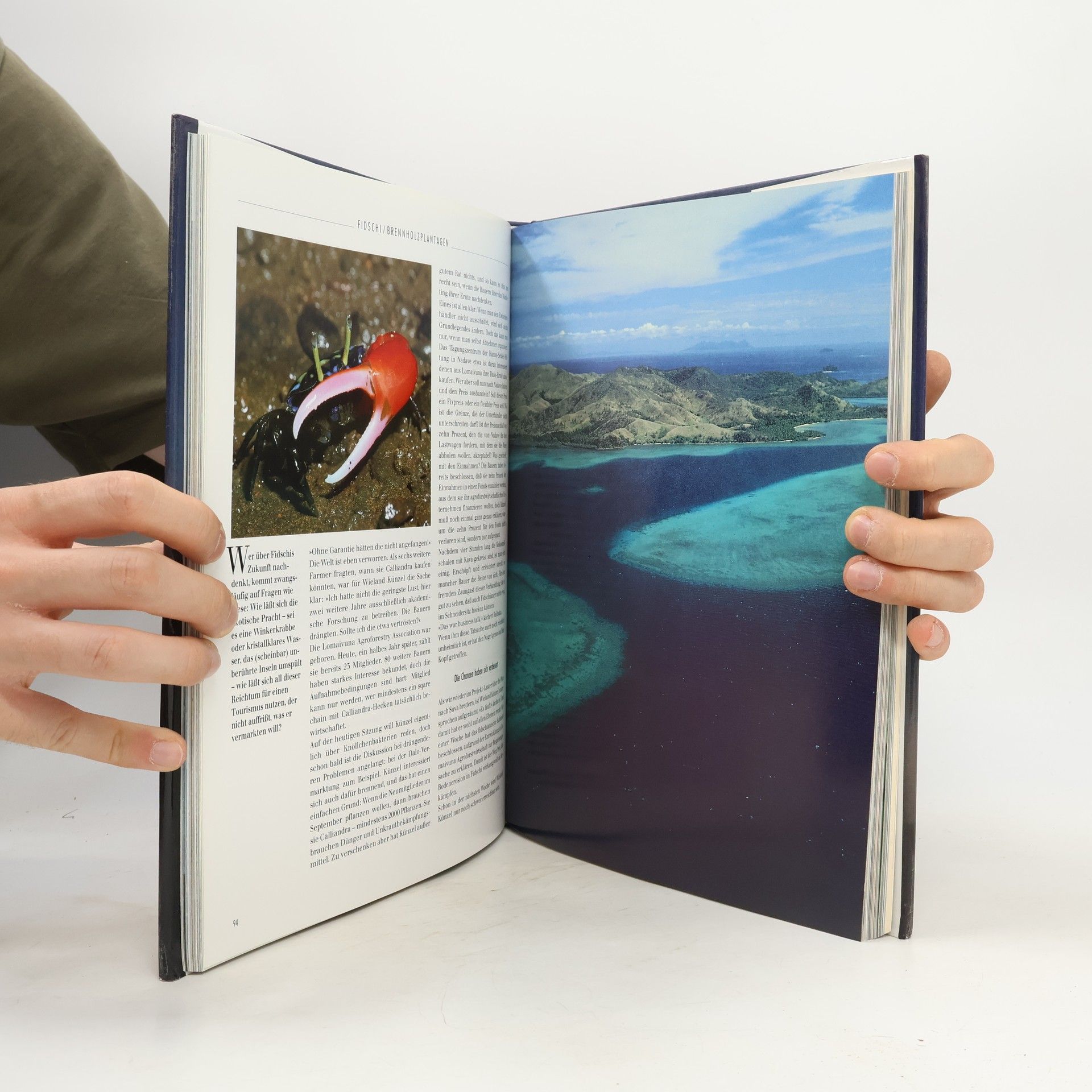 Collectif d'auteurs Silberstreifen am Horizont