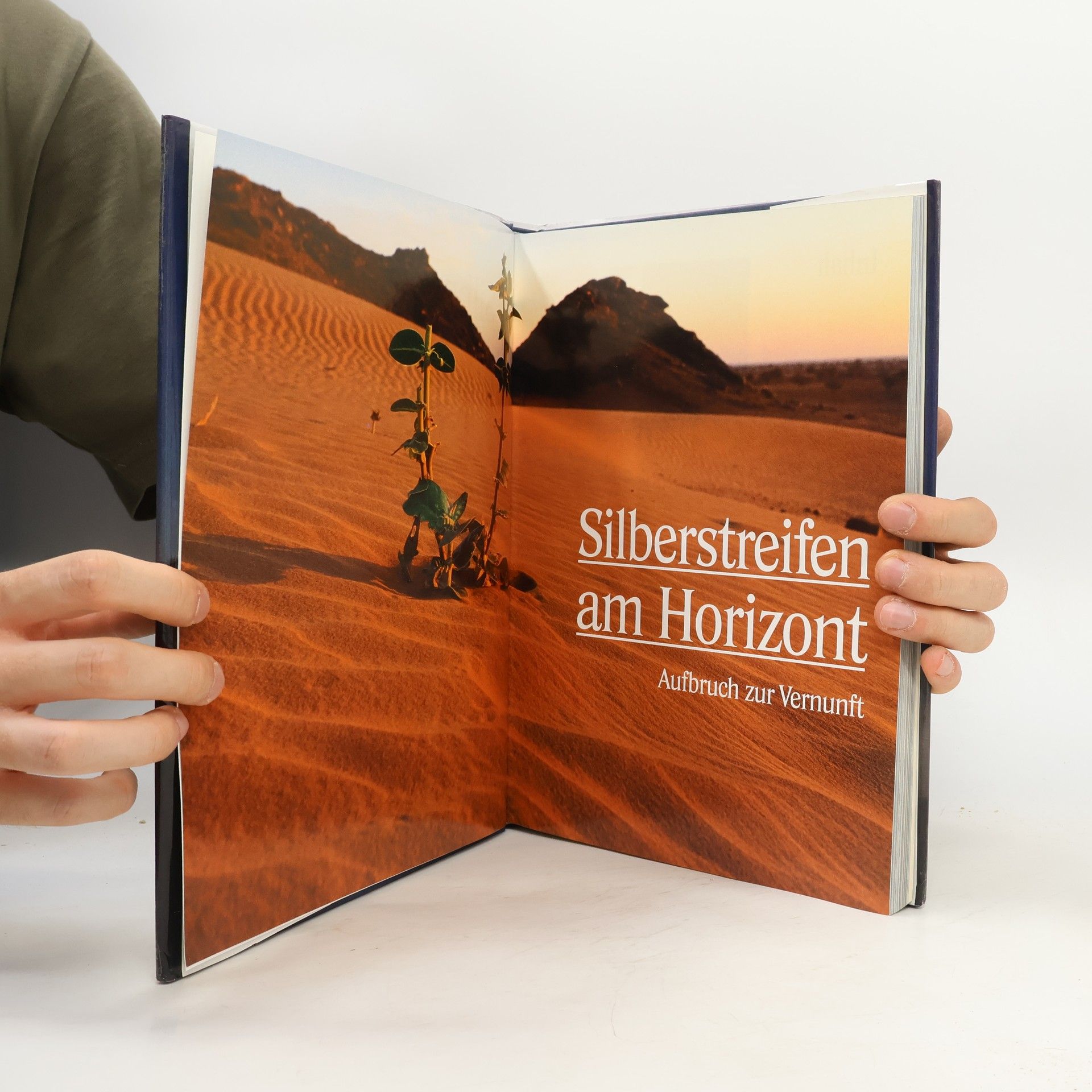 Collectif d'auteurs Silberstreifen am Horizont