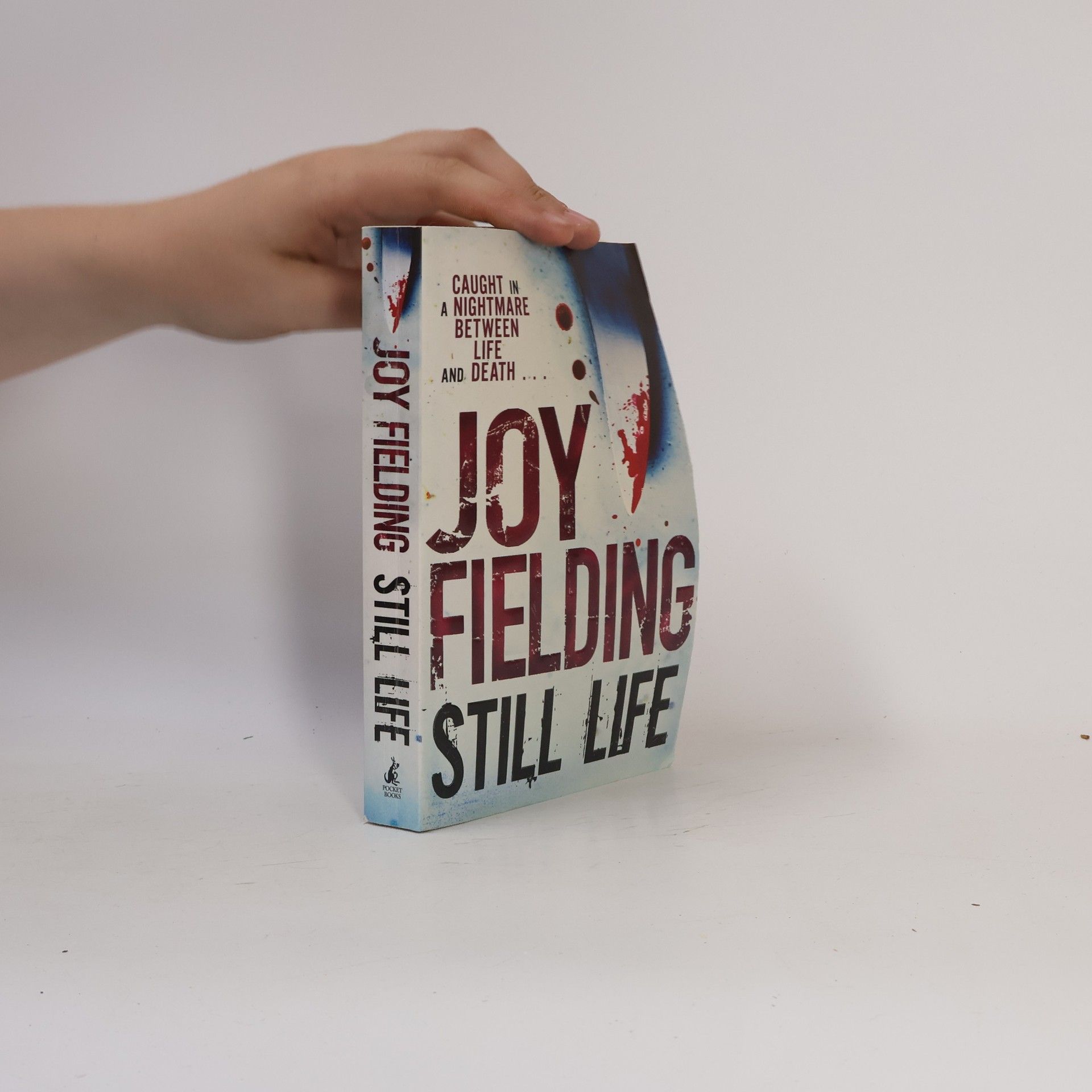 Joy Fielding Still life