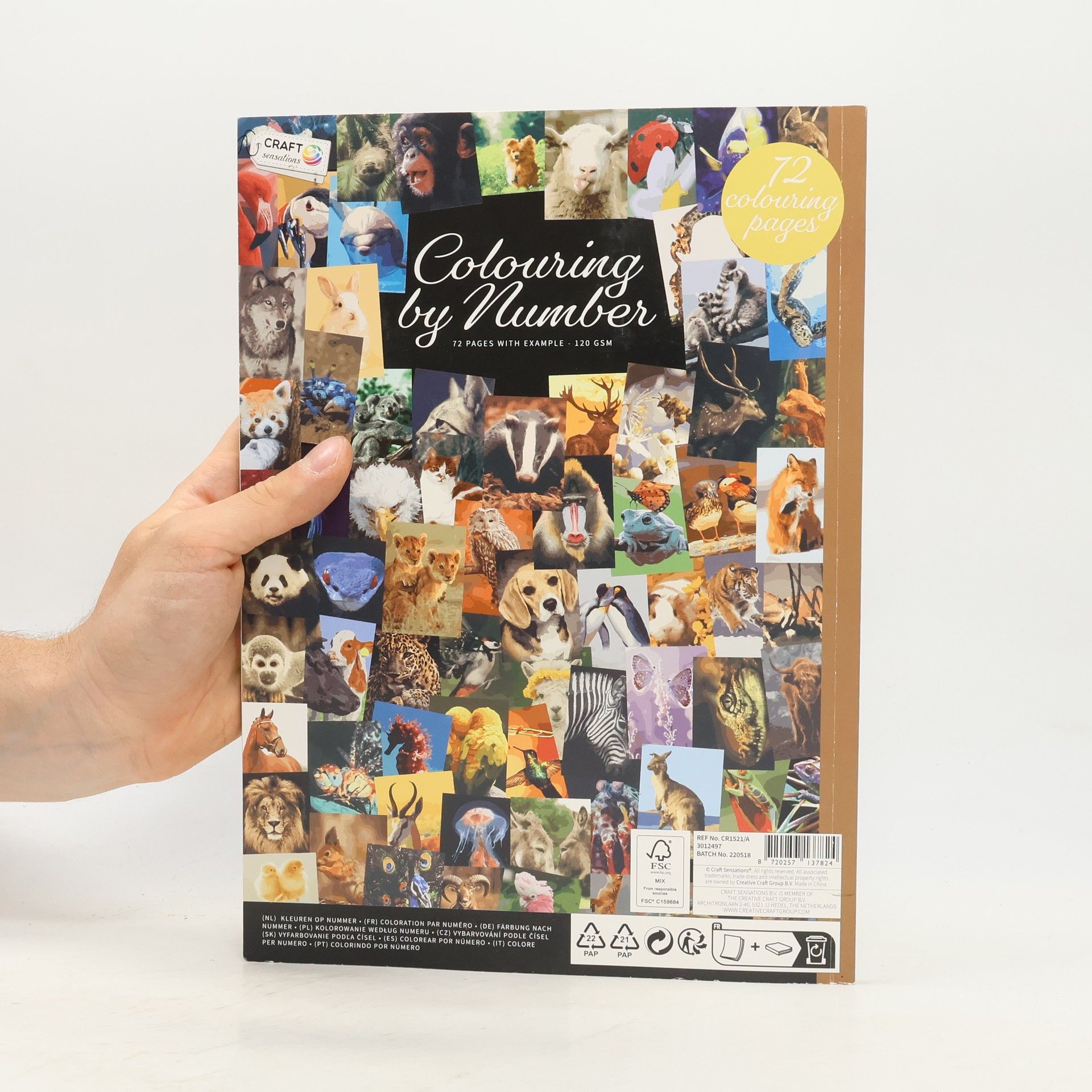 Collectif d'auteurs Colouring by Number
