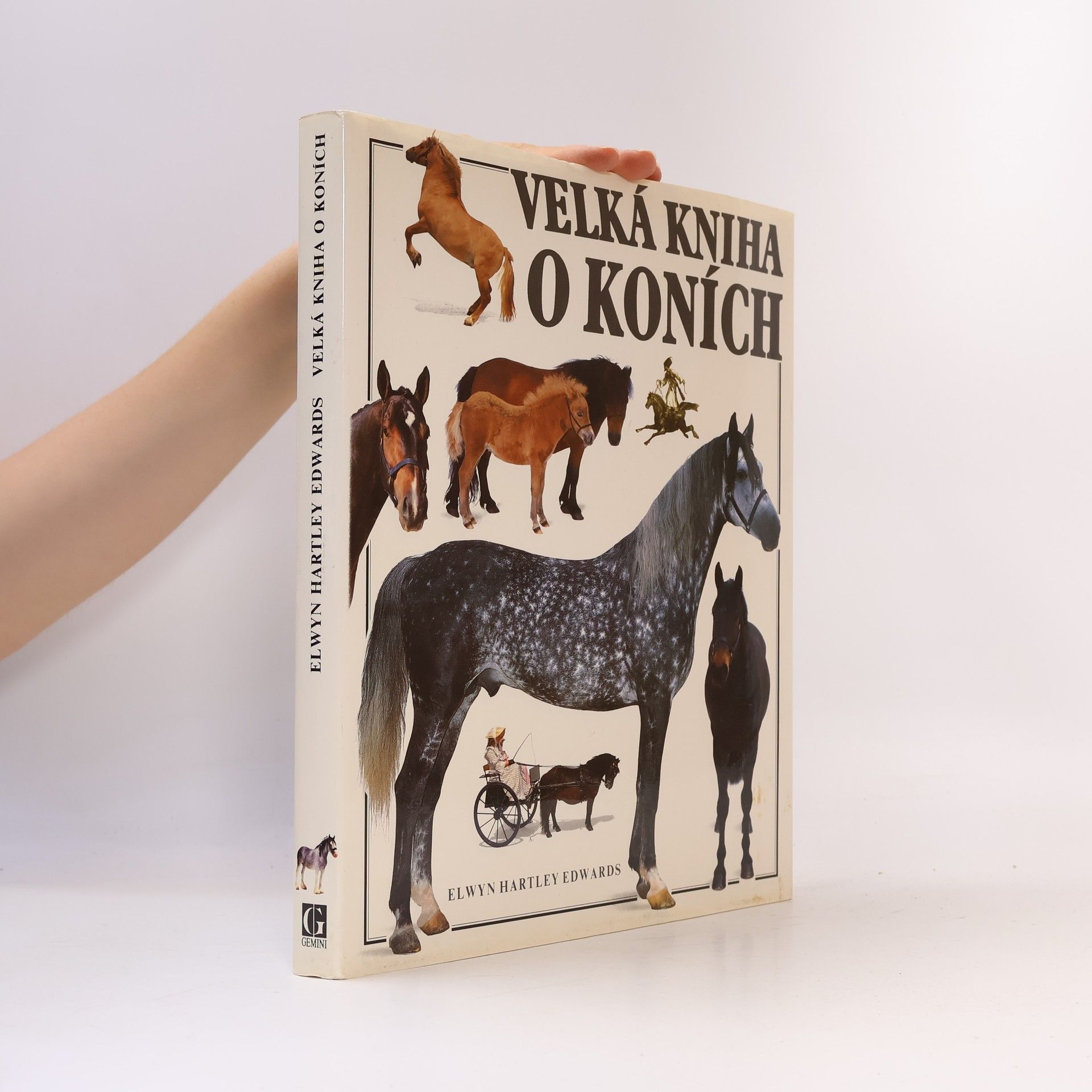 Velká kniha o koních