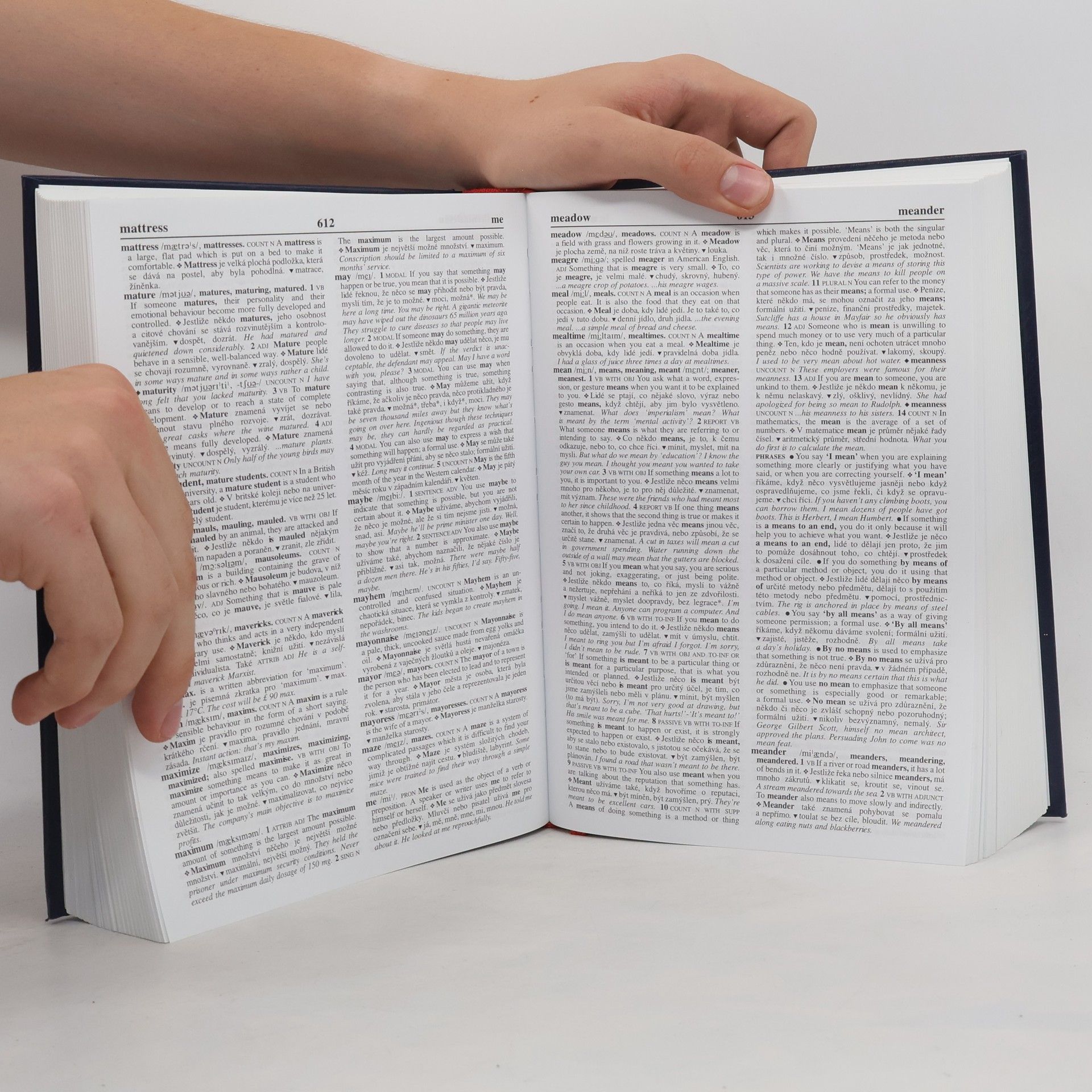 Autorenkollektiv Anglicko-český výkladový slovník