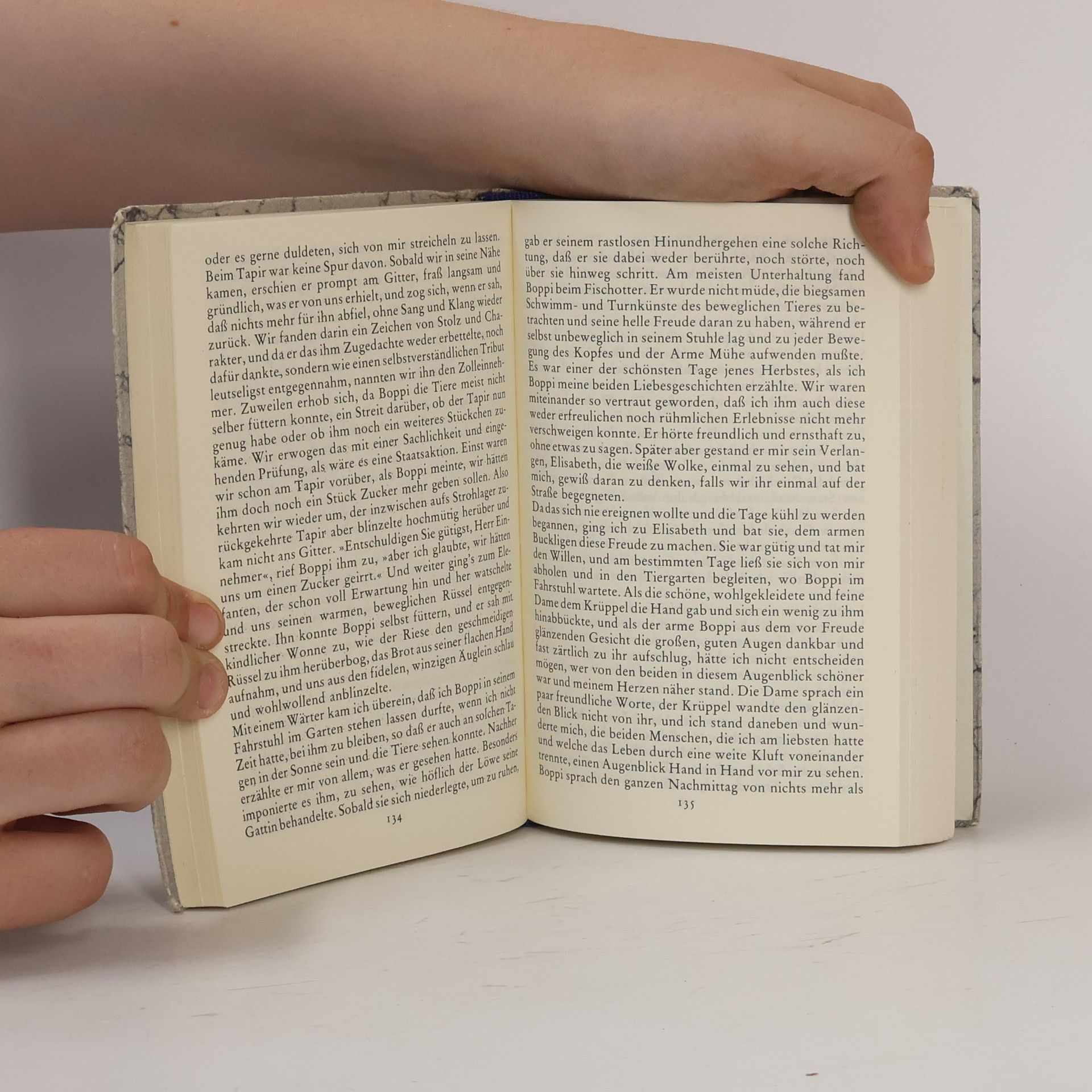 Hermann Hesse Camenzind Unterm Rad