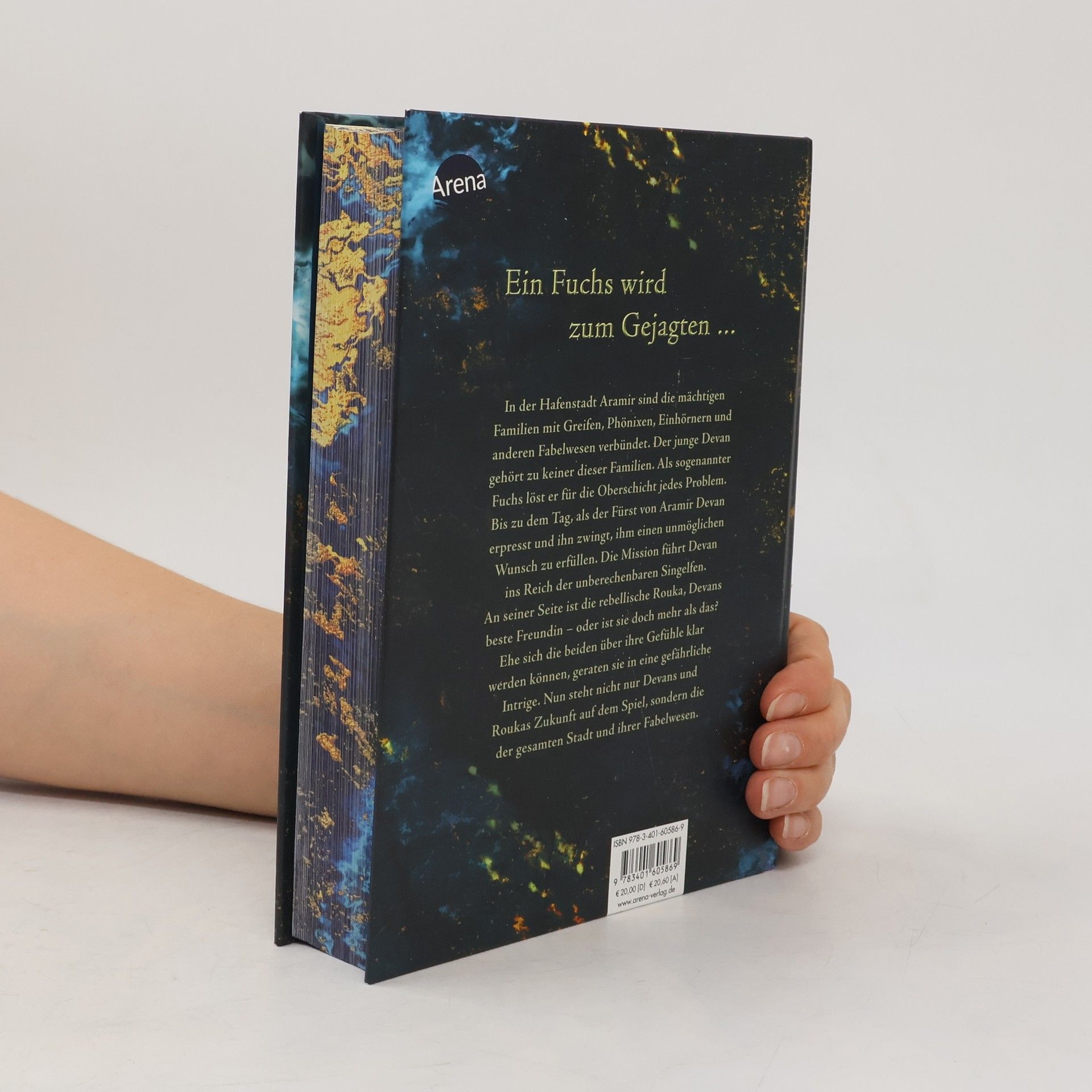 Katja Brandis Der Fuchs von Aramir