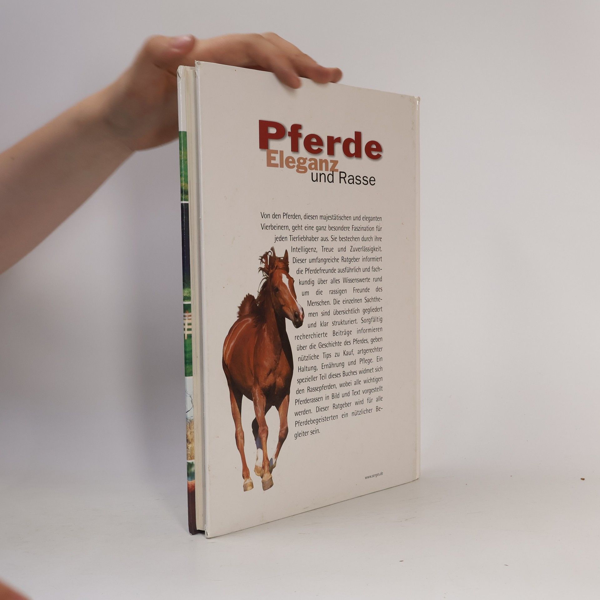 Collectif d'auteurs Pferde. Eleganz und Rasse