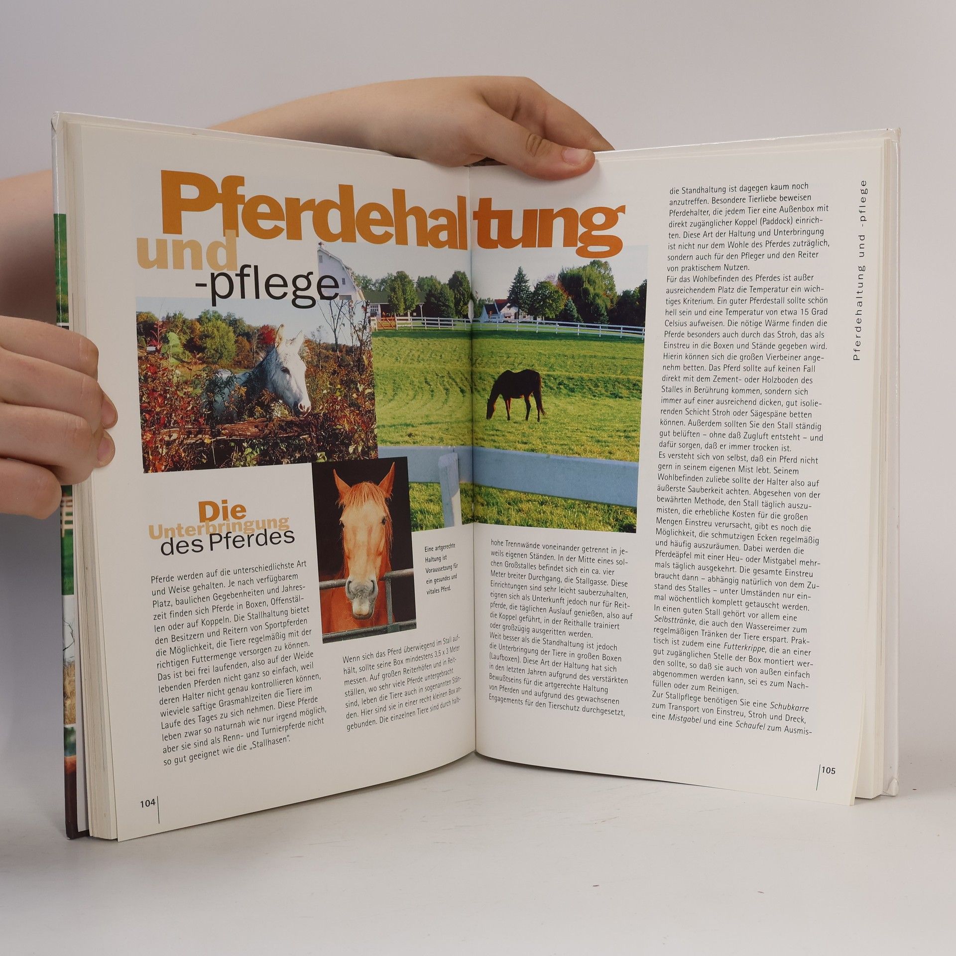 Collectif d'auteurs Pferde. Eleganz und Rasse
