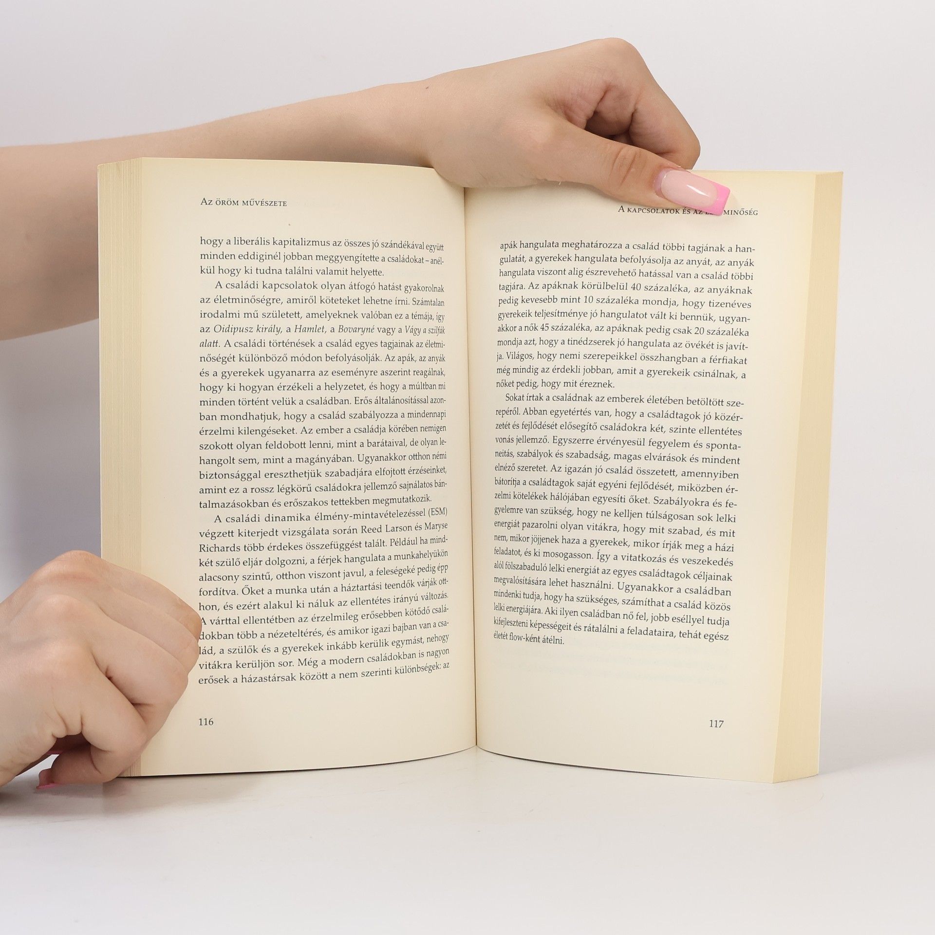 Mihaly Csikszentmihalyi Az öröm művészete