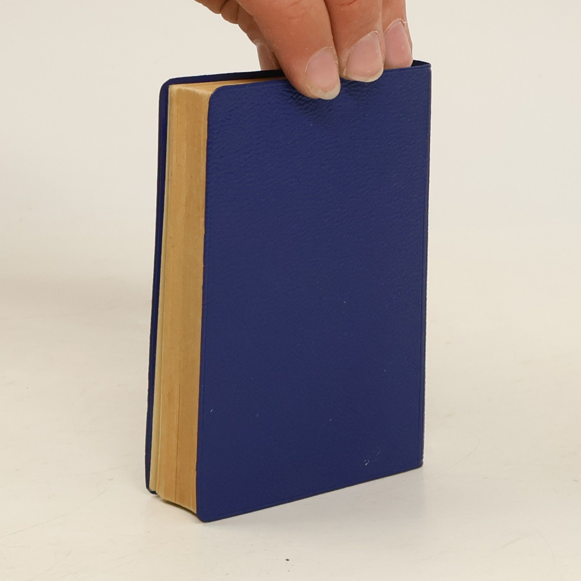 Autorenkollektiv Langenscheidts Universal Wörterbuch Italienisch