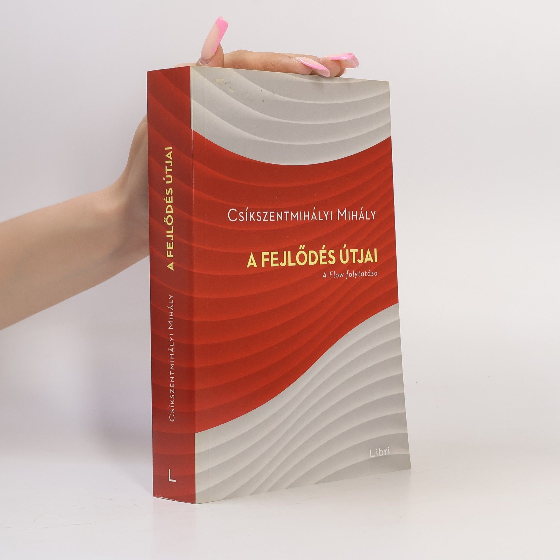 Mihaly Csikszentmihalyi A fejlődés útjai - A Flow folytatása
