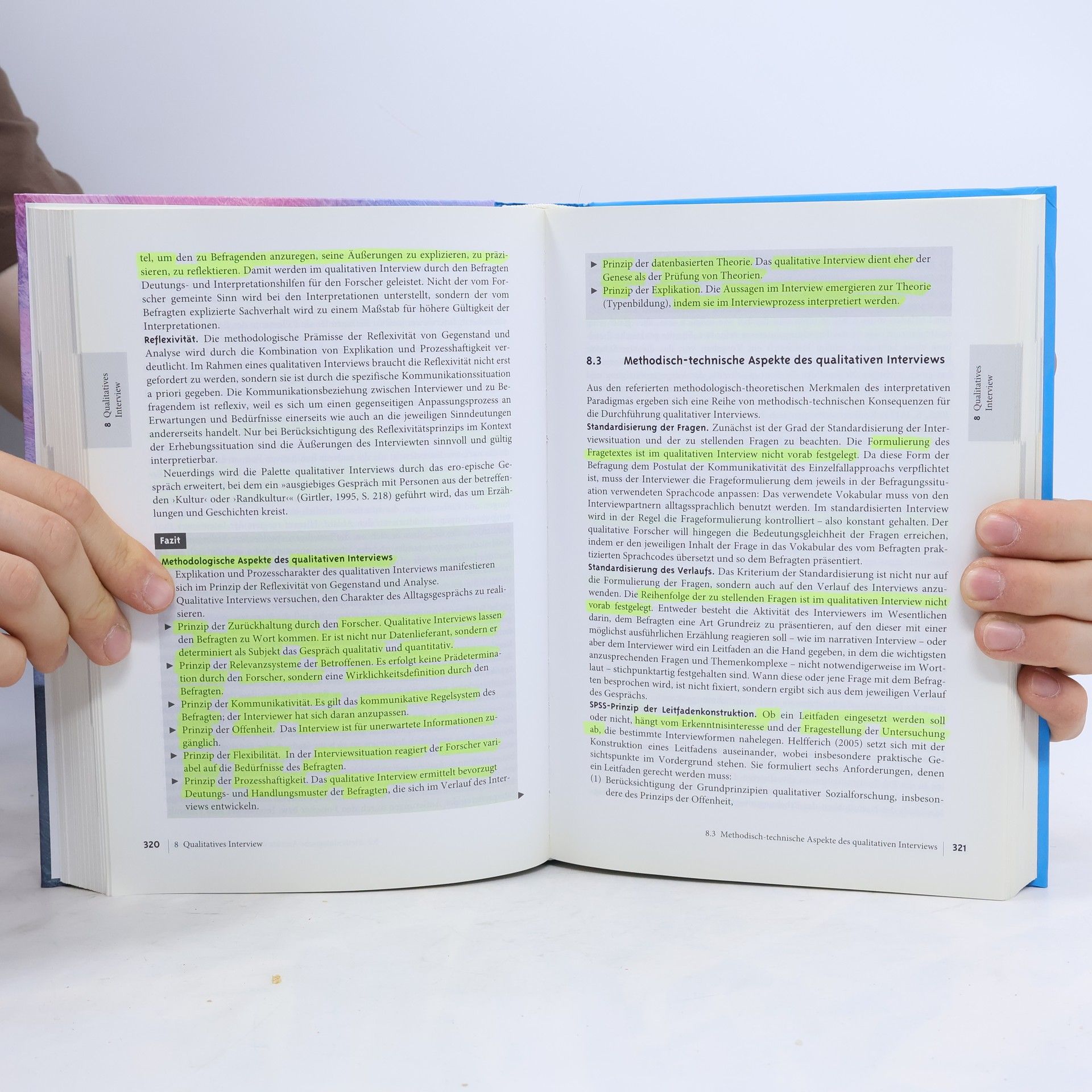 Siegfried Lamnek Qualitative Sozialforschung
