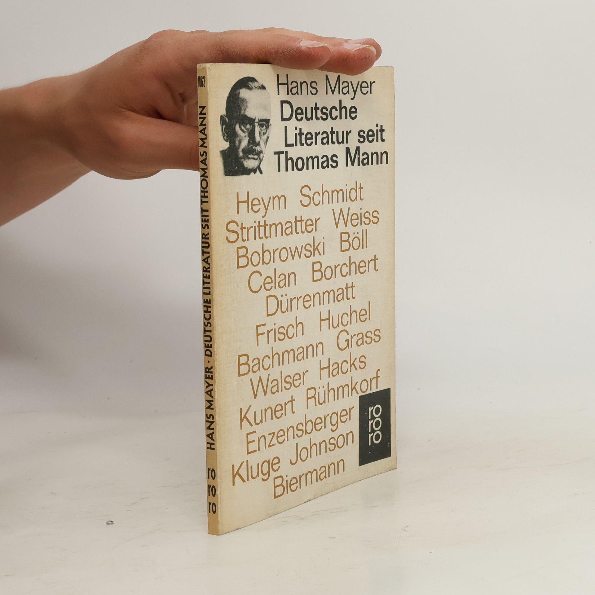 Hans Mayer Deutsche Literatur seit Thomas Mann