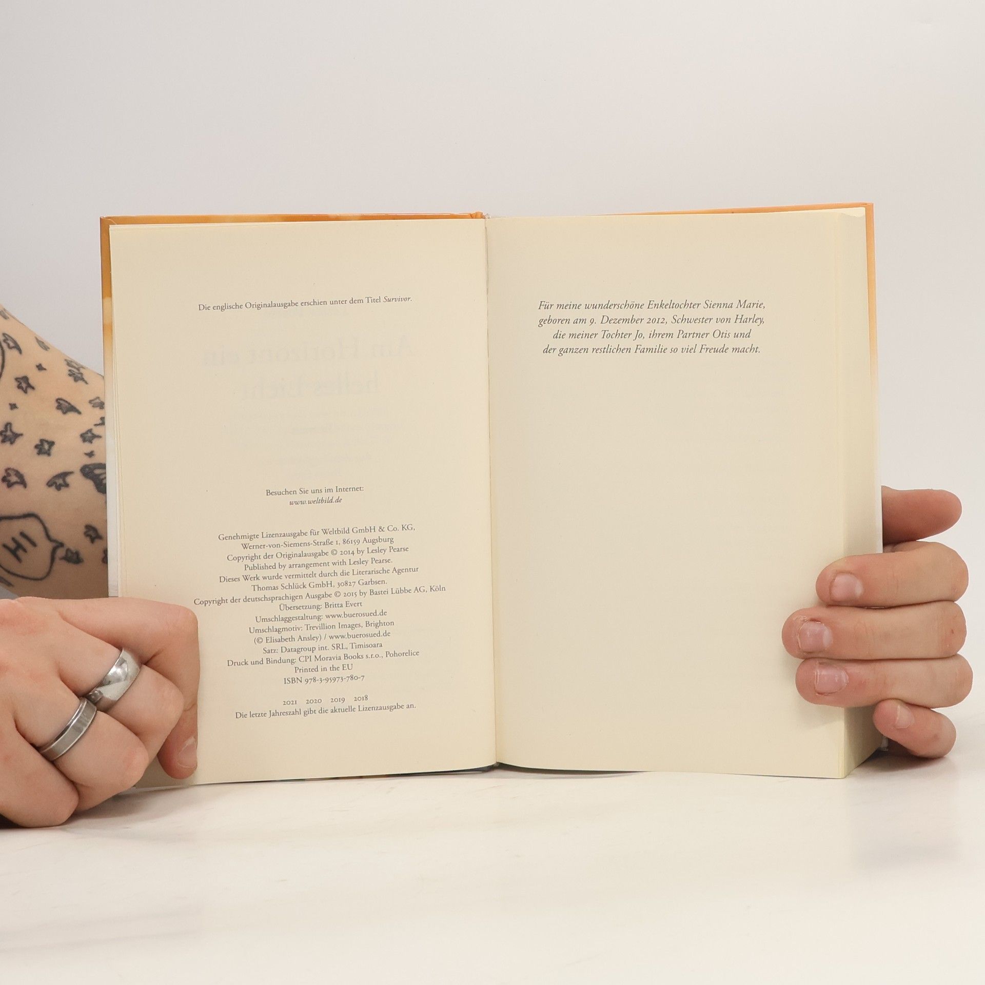 Lesley Pearse Am Horizont ein helles Licht