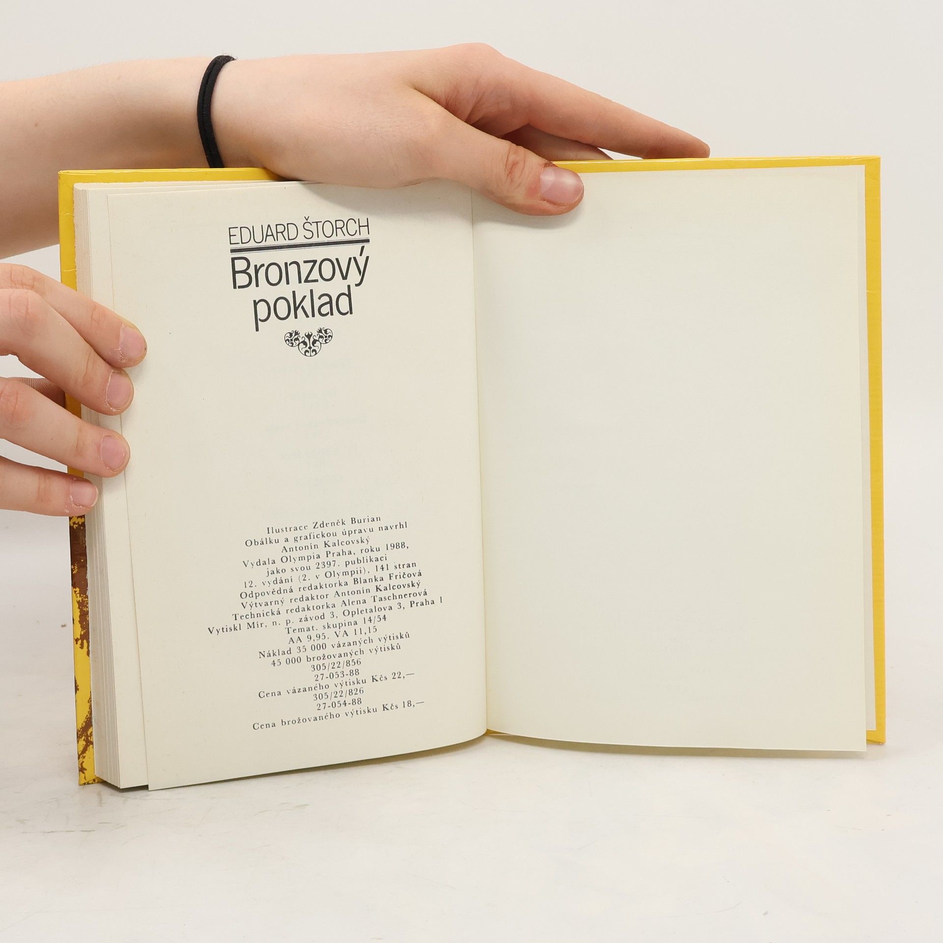 Eduard Štorch Bronzový poklad
