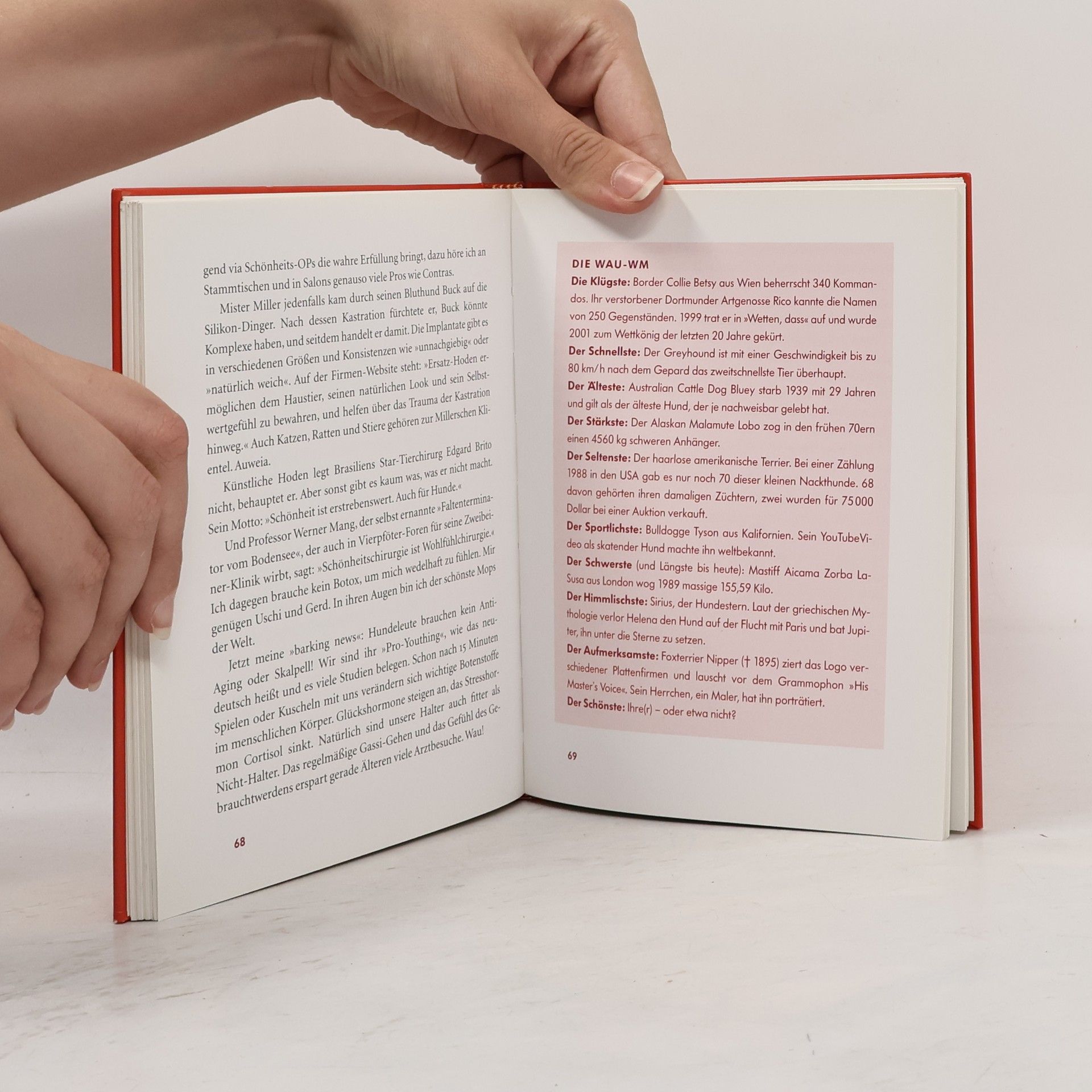 Uschi Ackermann Ein Mops, ein Buch