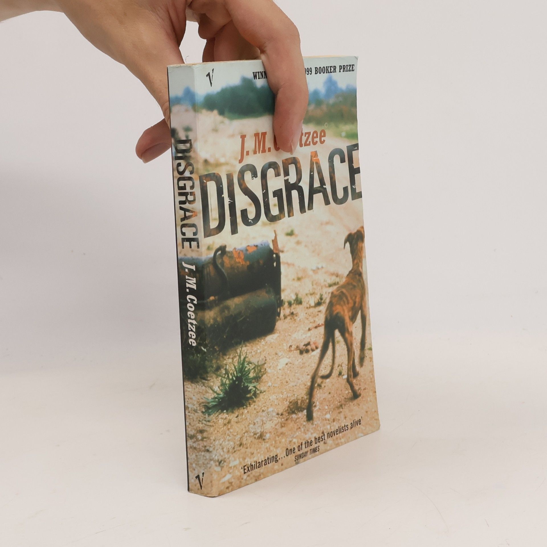 J. M. Coetzee Disgrace