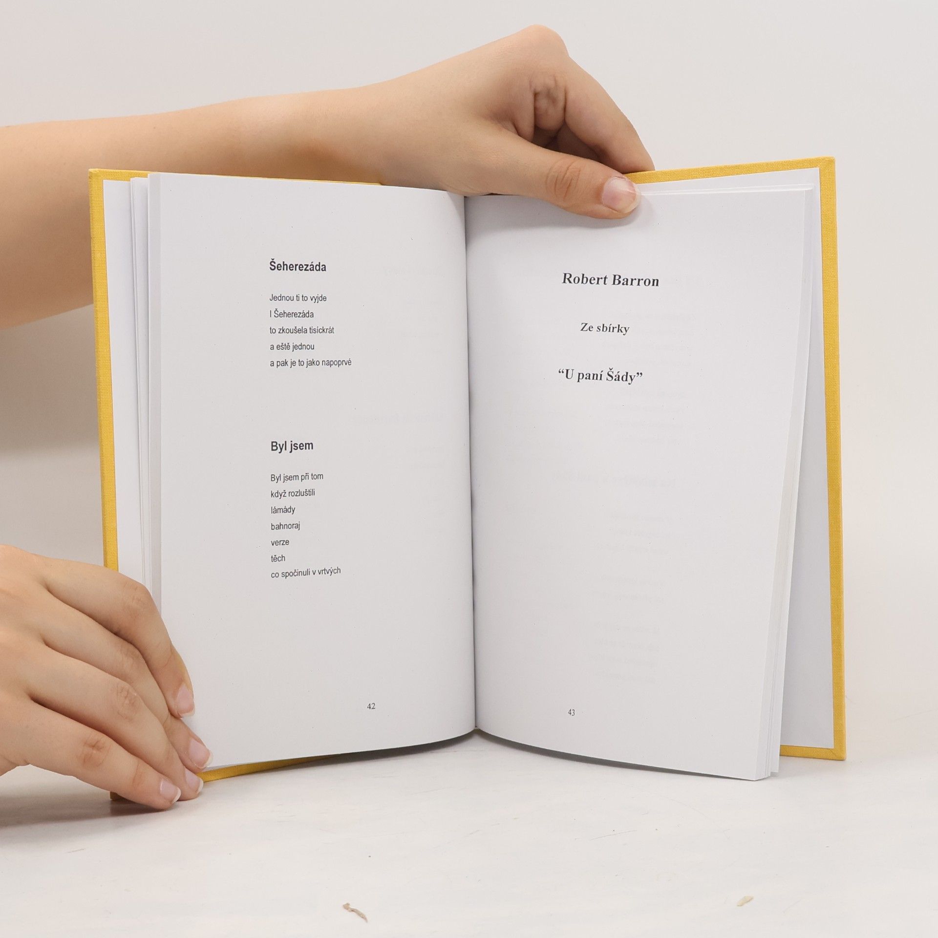 Kolektiv autorů Almanach skupiny 22