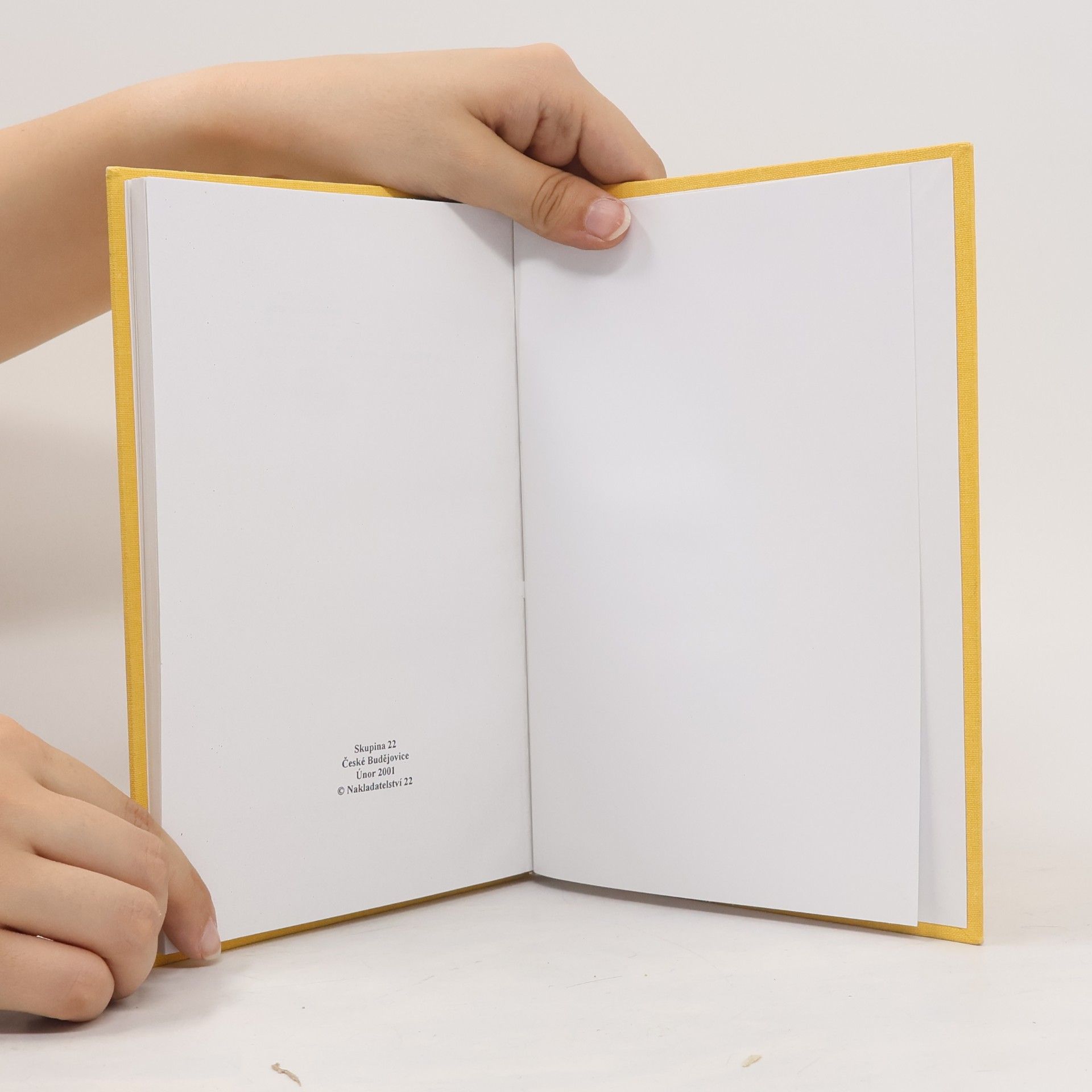 Kolektiv autorů Almanach skupiny 22