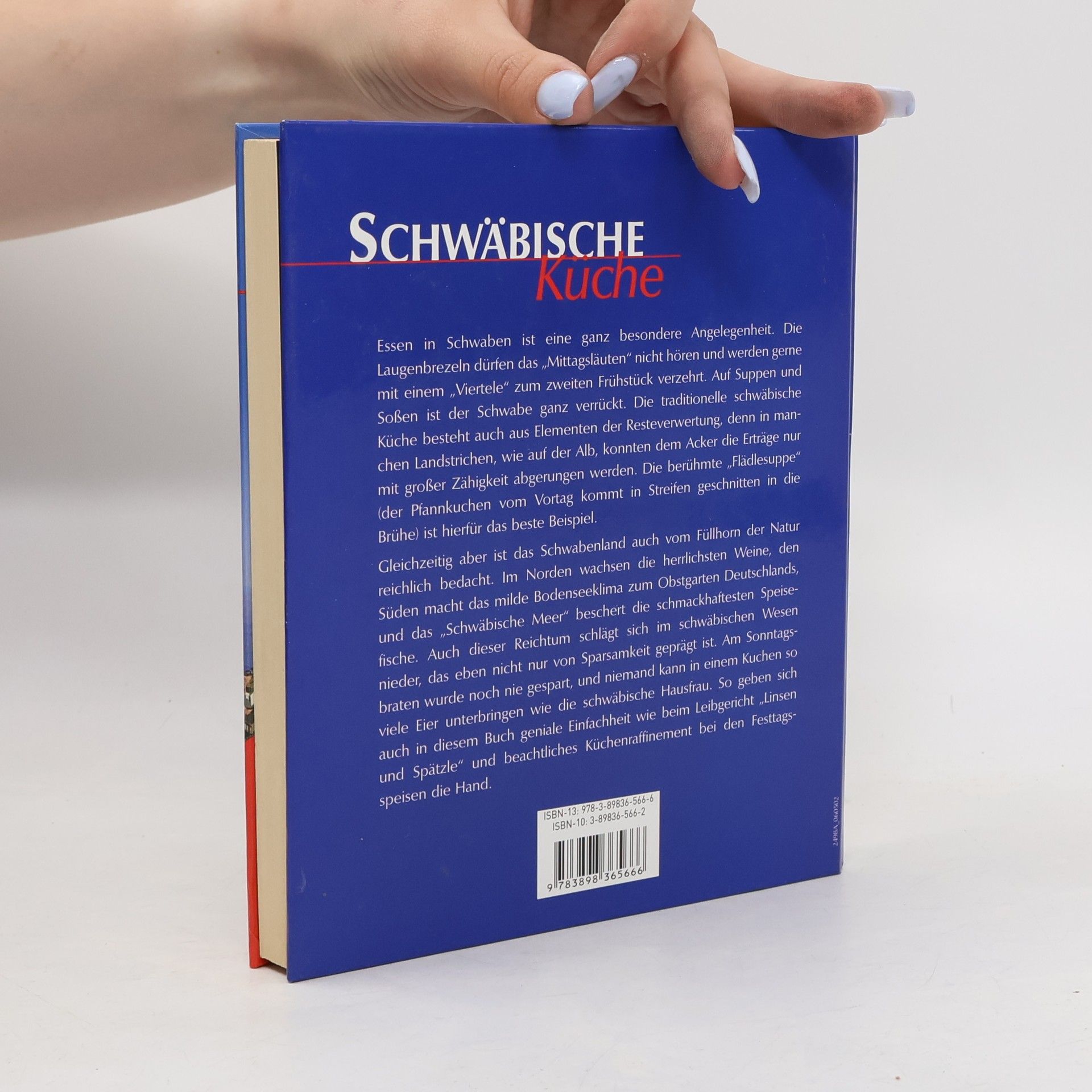 Kolektiv autorů Schwäbische Küche