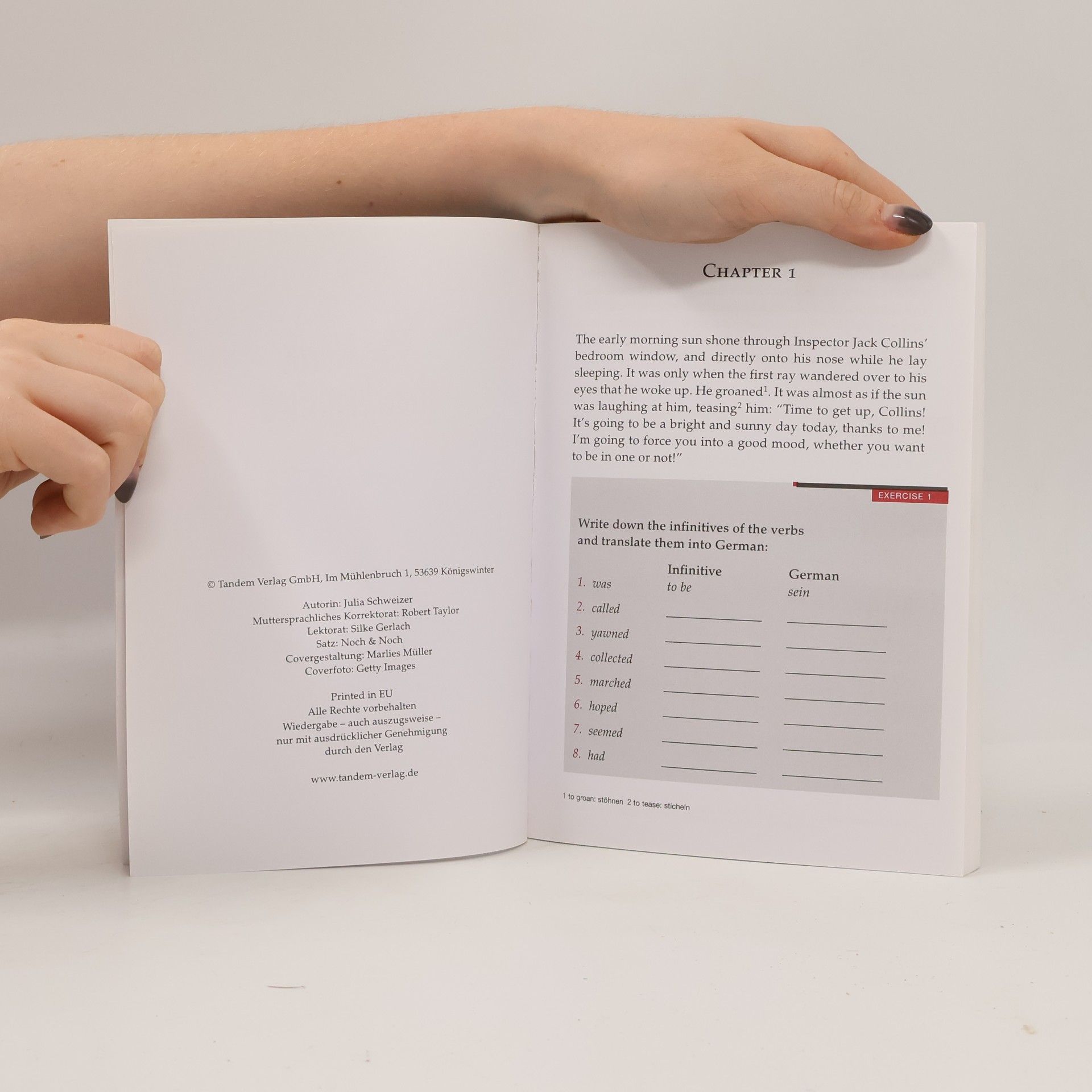 Julia Schweizer The Words that Vanished