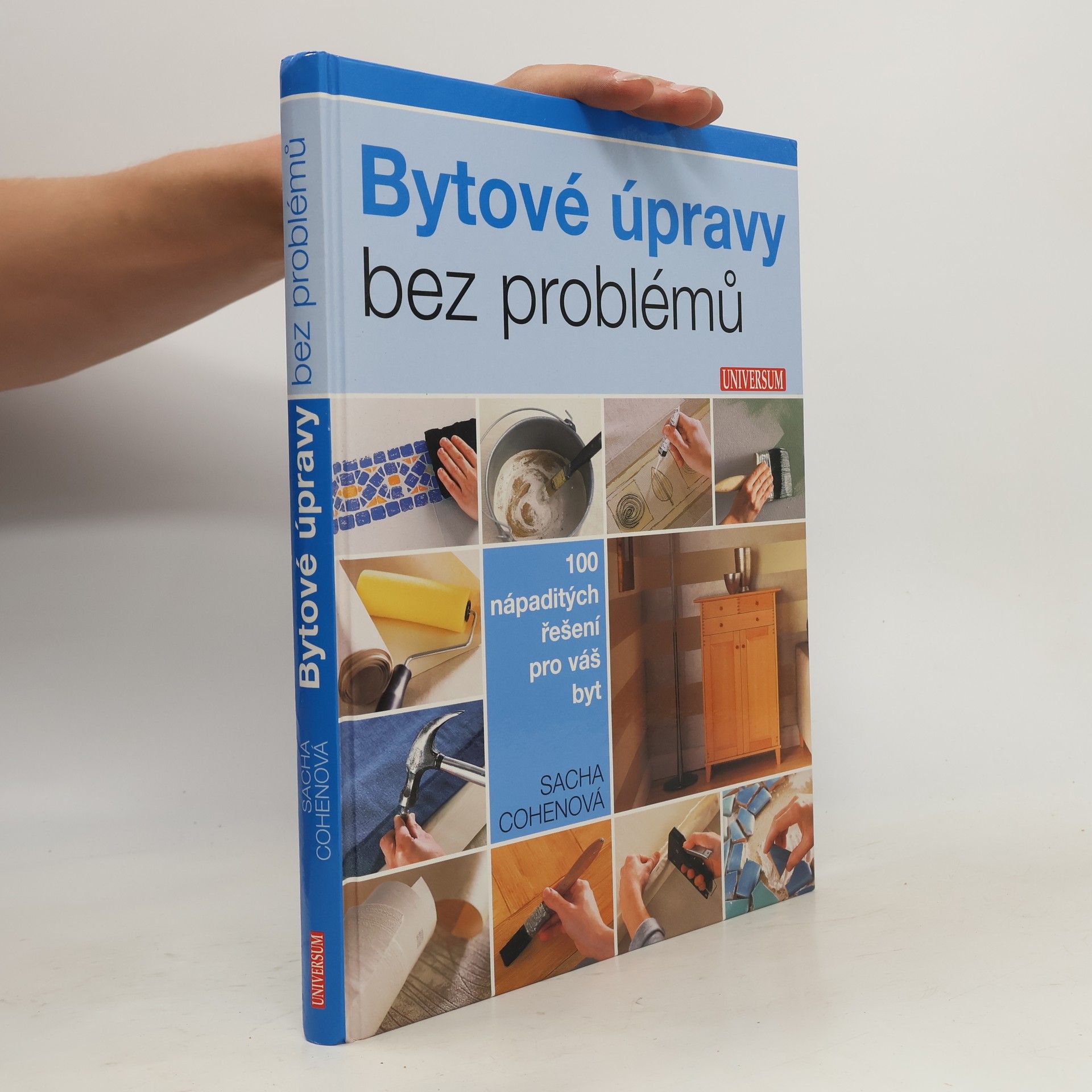 Sacha Cohen Bytové úpravy bez problémů. 100 nápaditých řešení pro váš byt