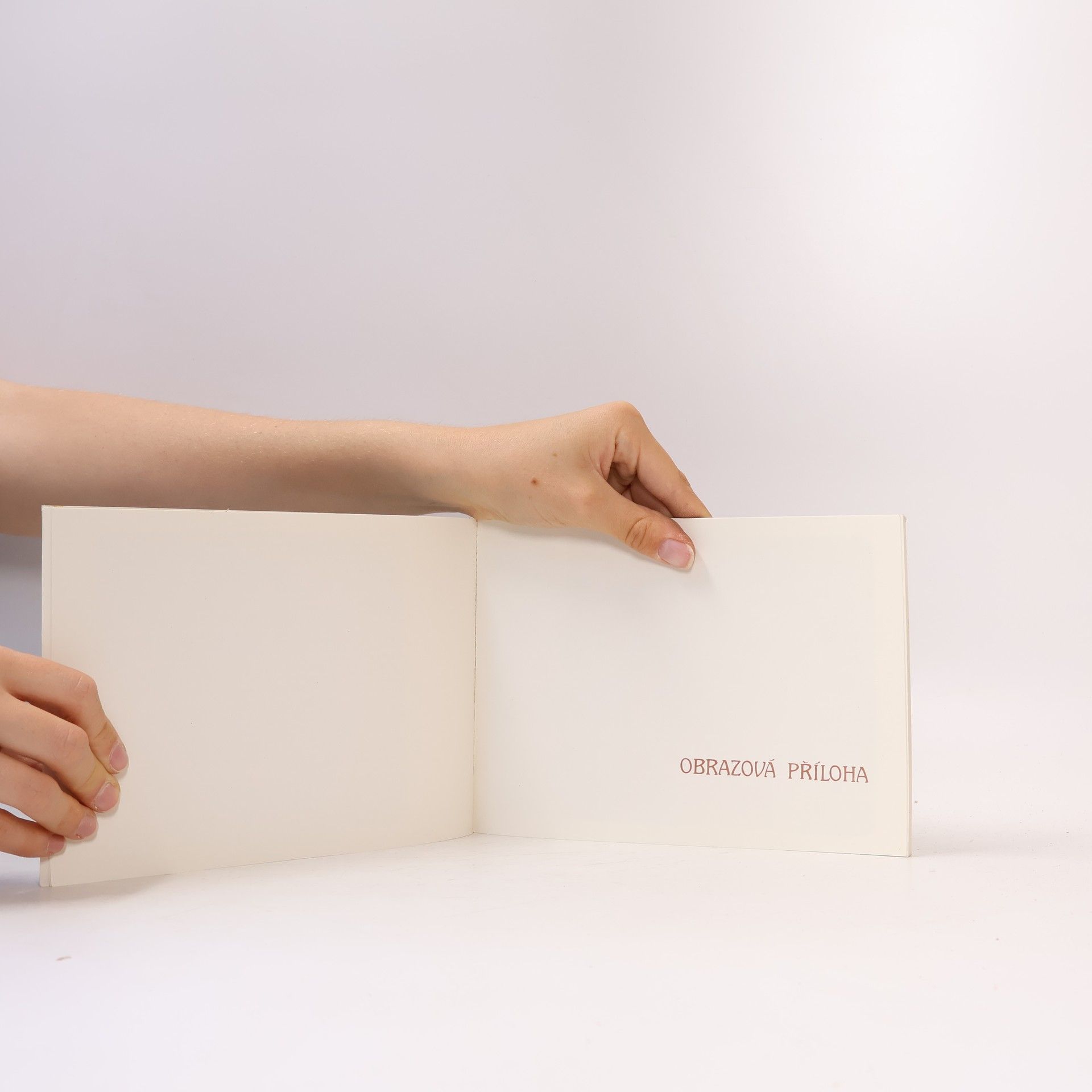 František Čáp Fotografie z knihkupectví Zikmunda Reacha