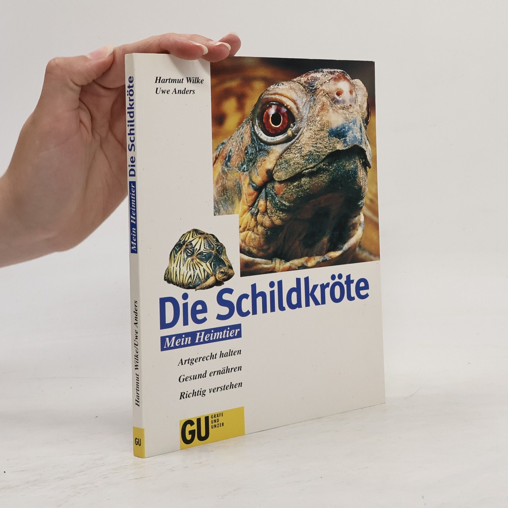 Hartmut Wilke Die Schildkröte