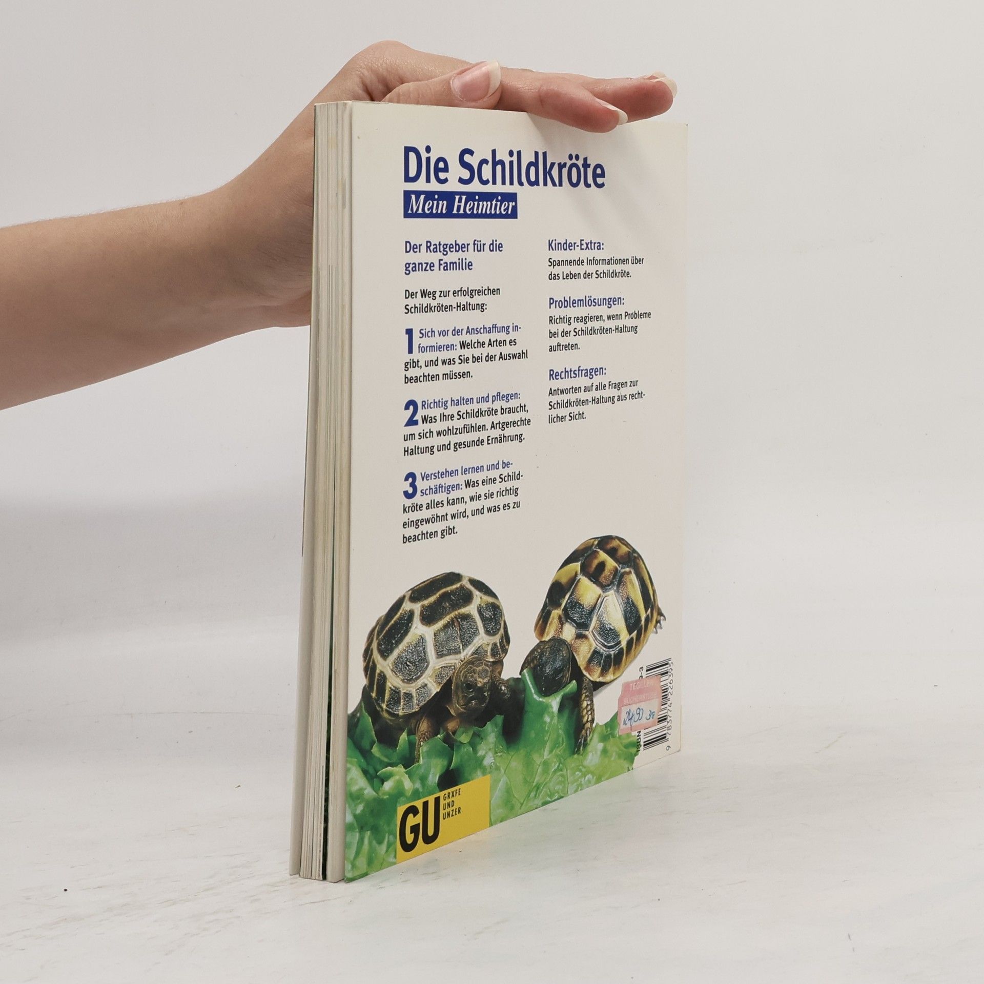 Hartmut Wilke Die Schildkröte