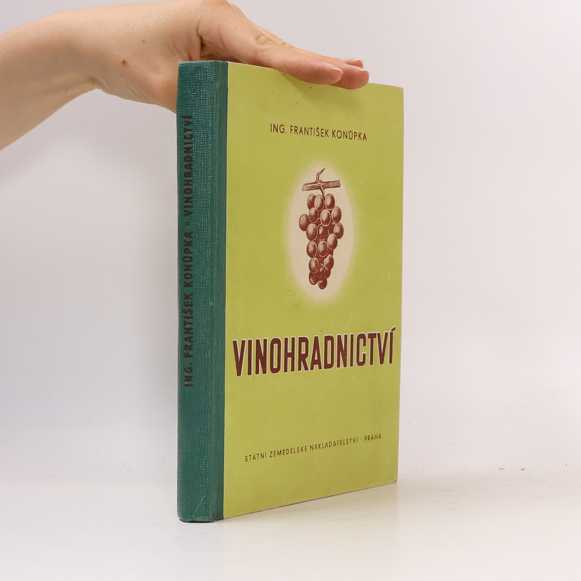 Vinohradnictví