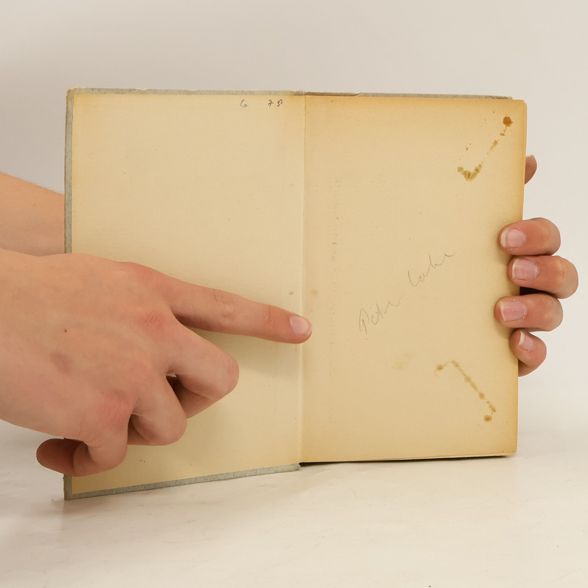 Karl Marquard Sauer Italienische Sprachlehre
