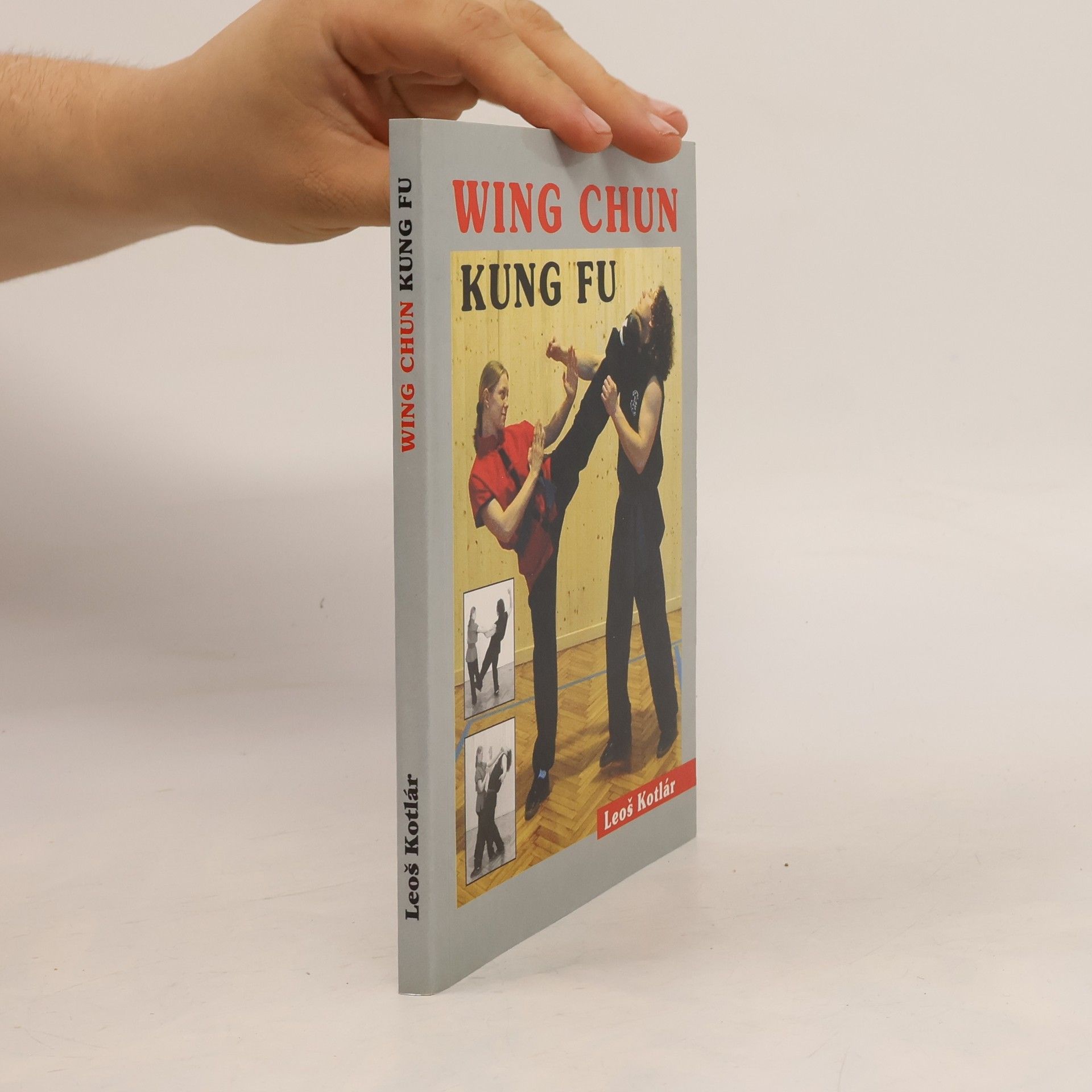 Wing chun. Kung fu. Metodická příručka