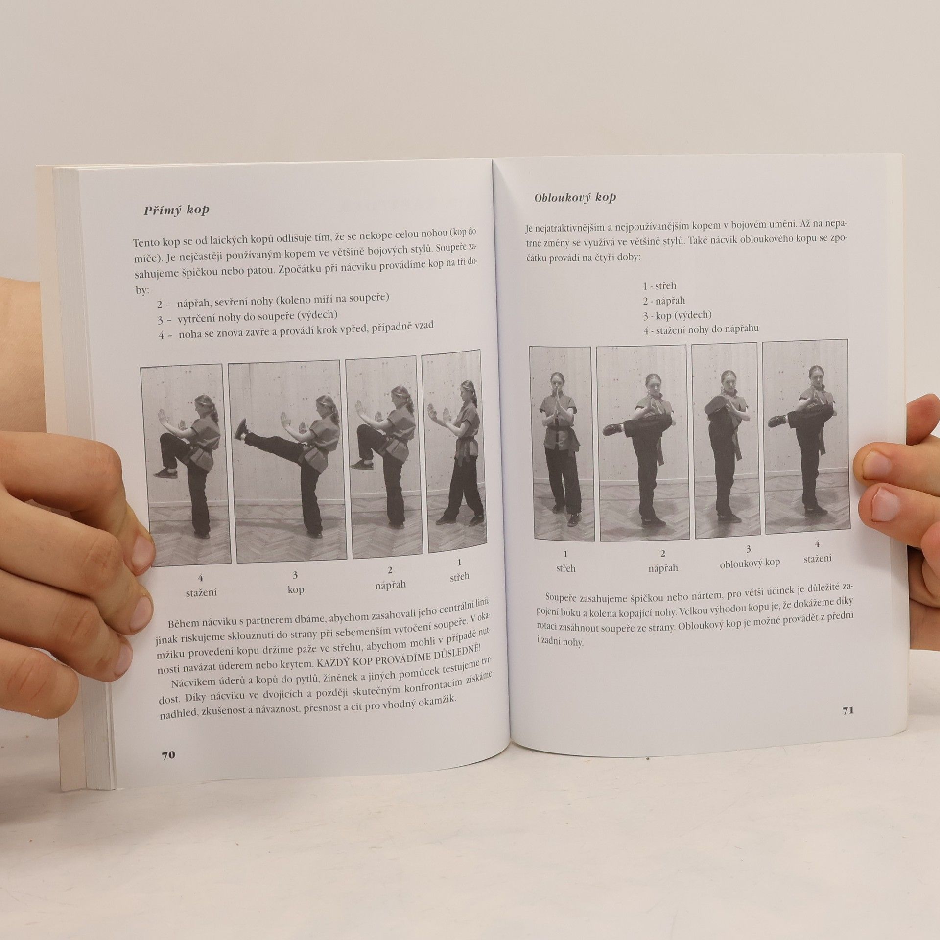 Leoš Kotlár Wing chun. Kung fu. Metodická příručka