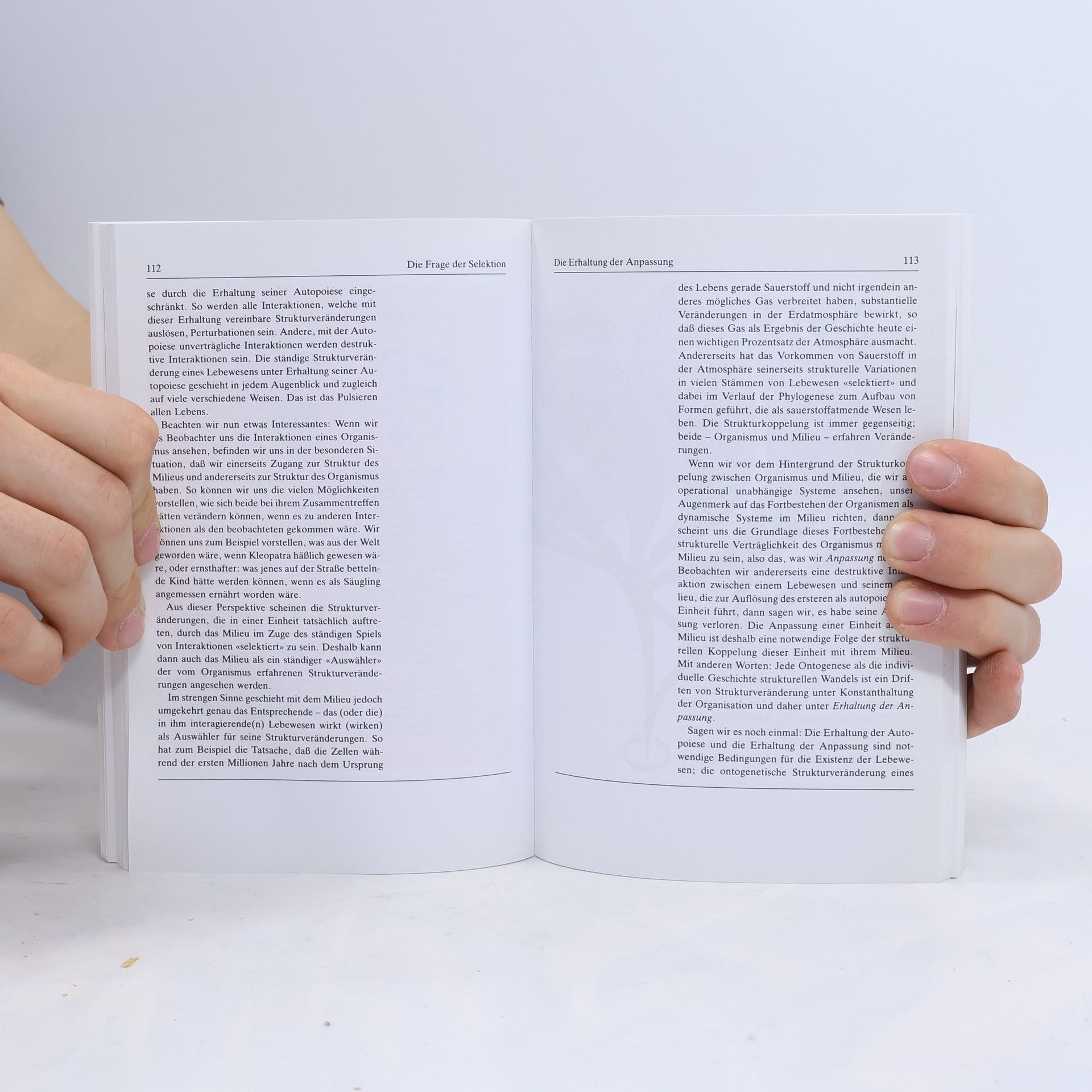 Humberto R. Maturana Der Baum der Erkenntnis