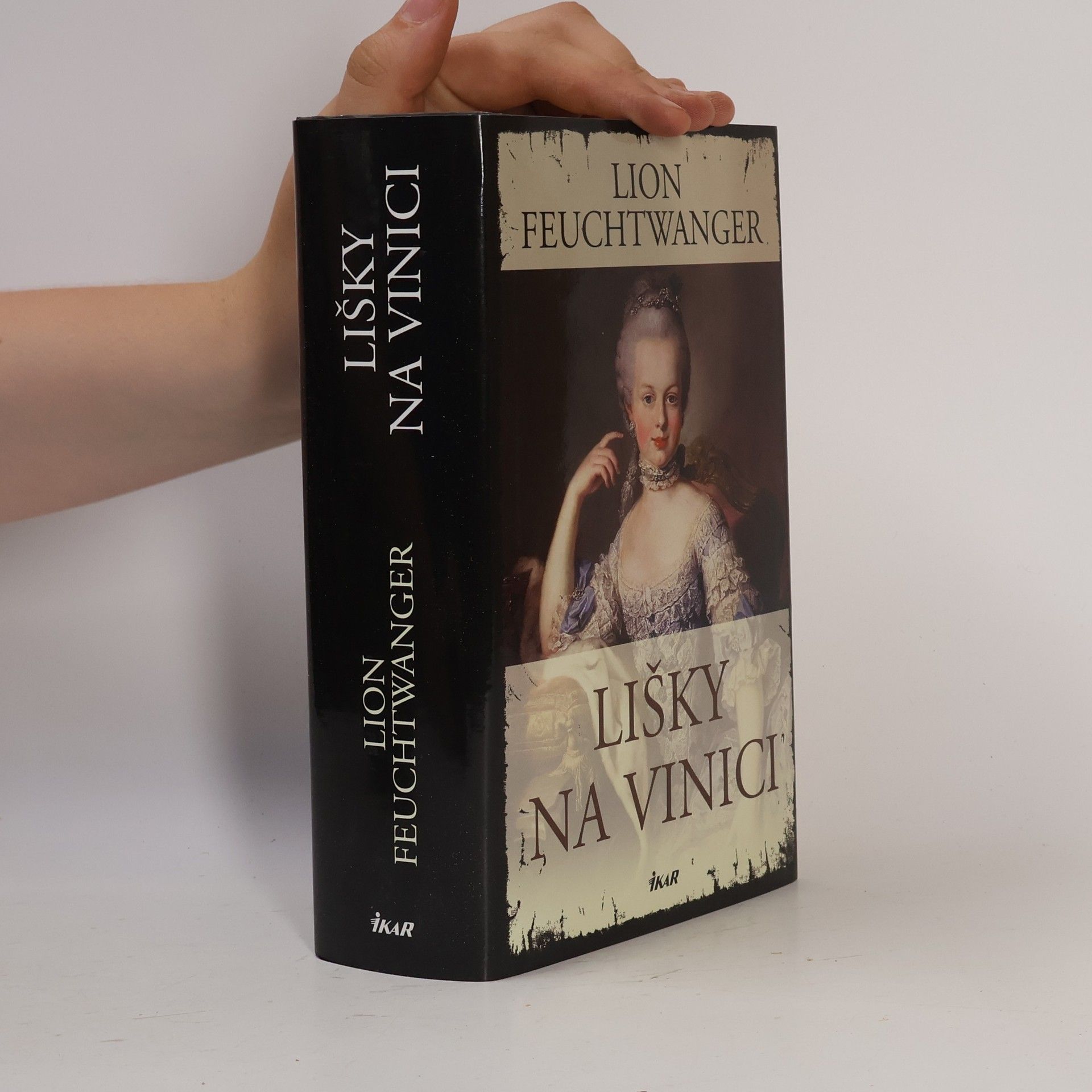 Lion Feuchtwanger Lišky na vinici