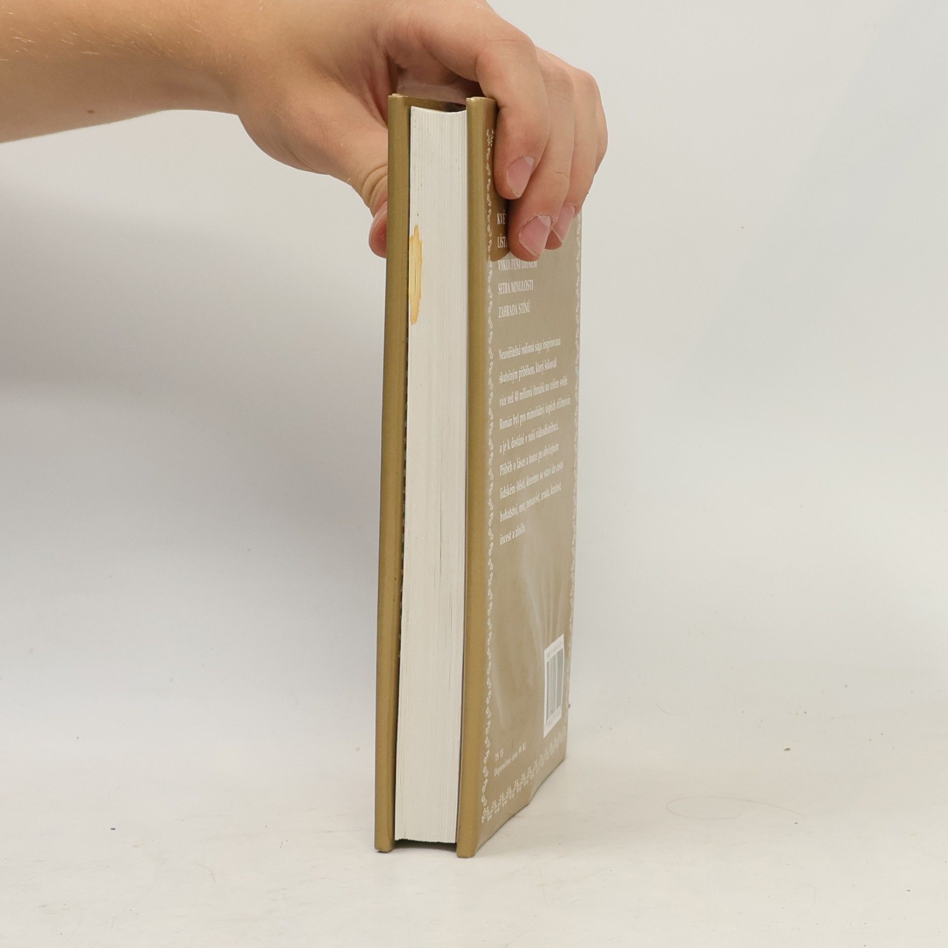 Virginia C. Andrewsová Moje zlatá Audrina